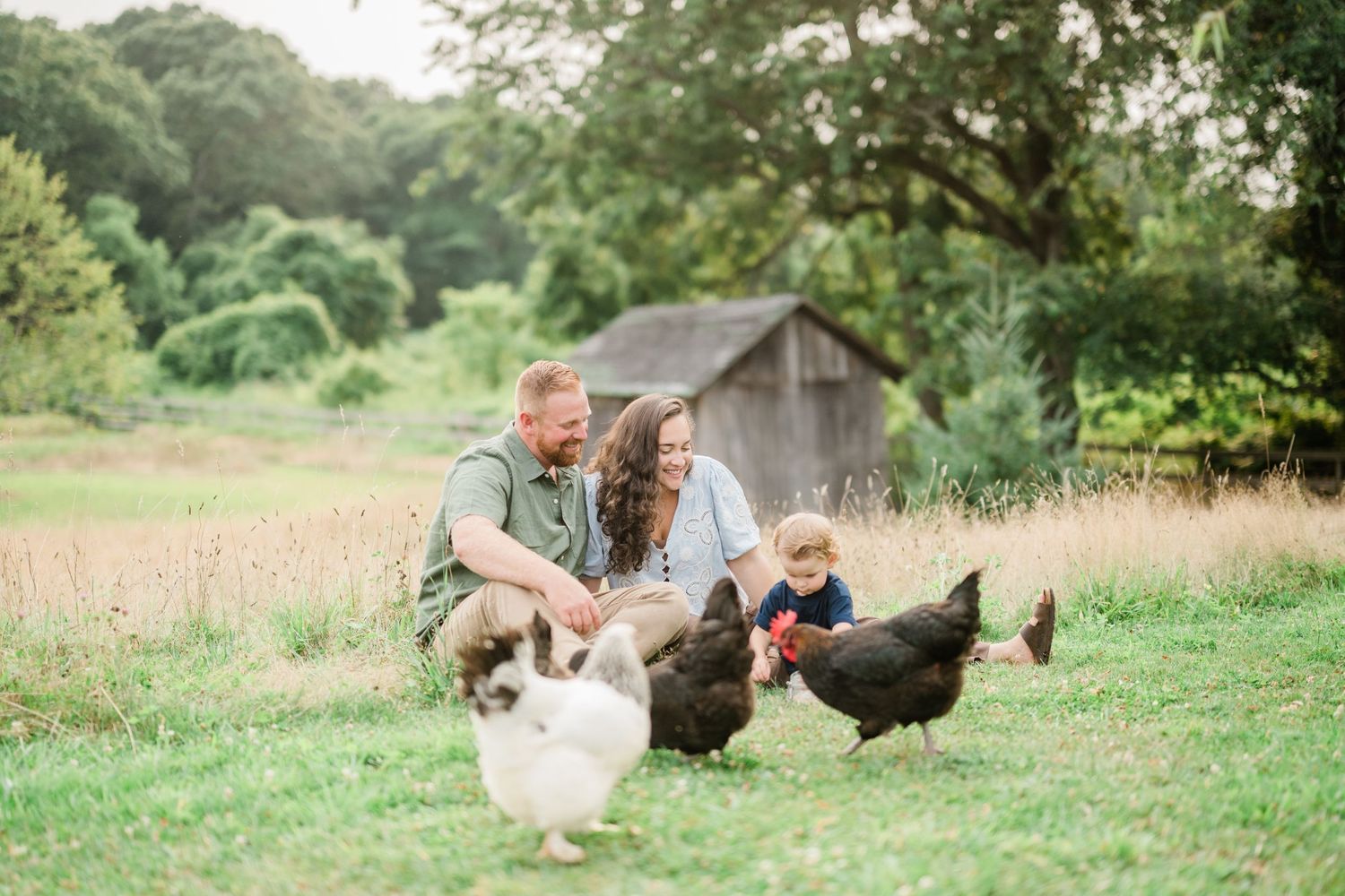 Family interacting with chickens in rustic farm setting with old barn in background.