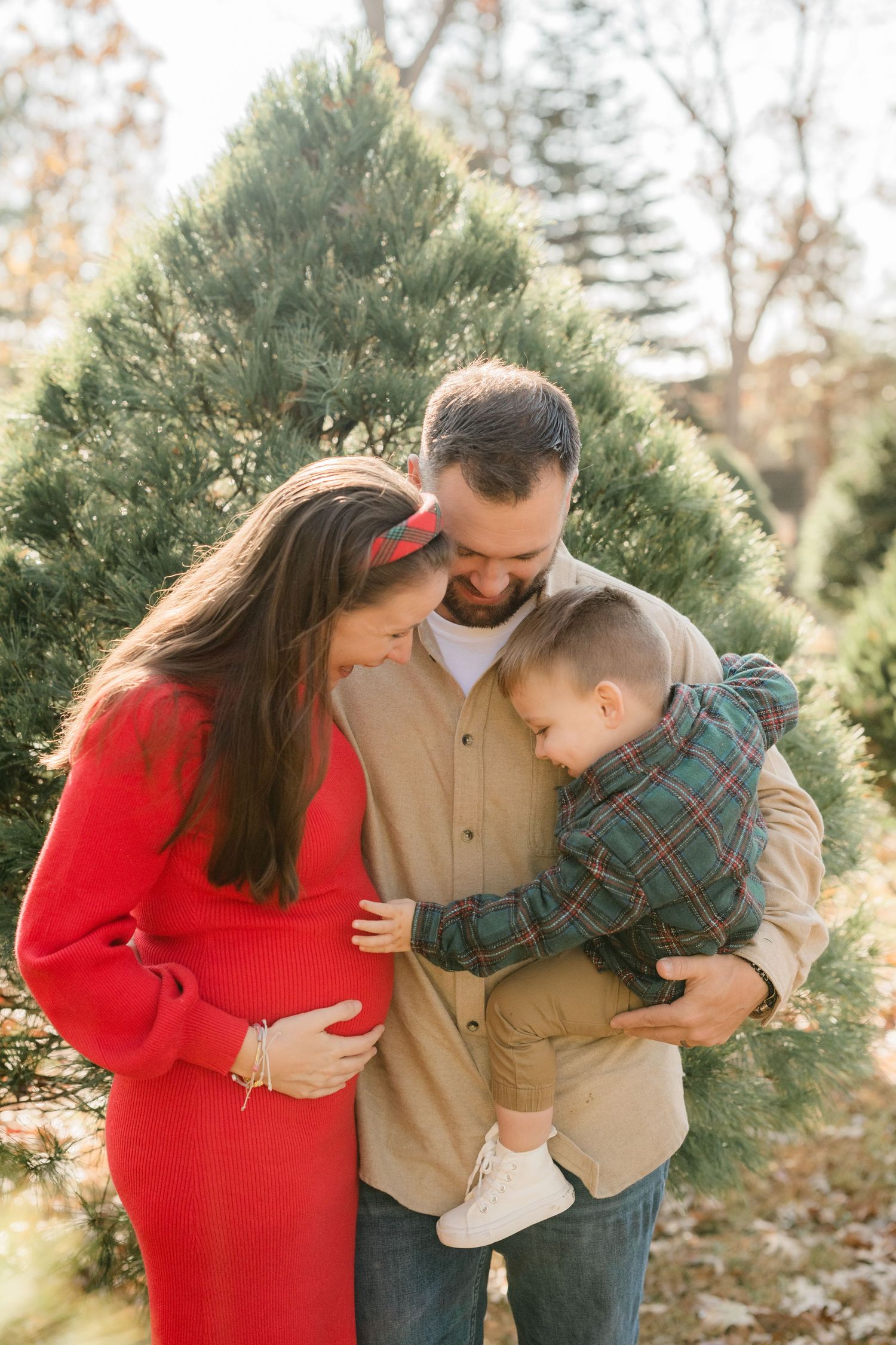 Pregnant woman in red dress with husband and toddler son at Christmas tree farm for maternity photos.