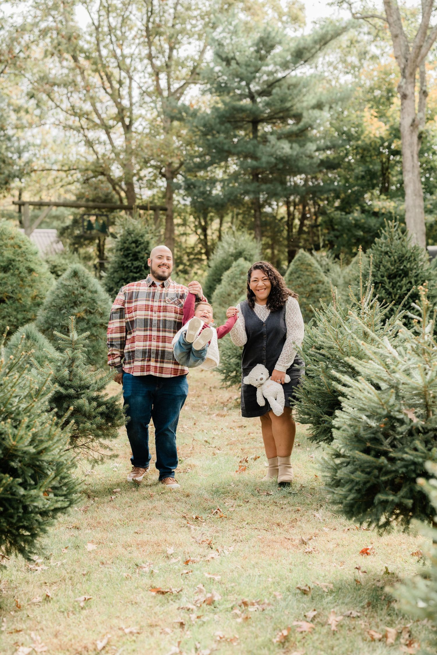 A happy family walks through rows of Christmas trees at a tree farm, with dad carrying a baby and mom holding a stuffed animal.