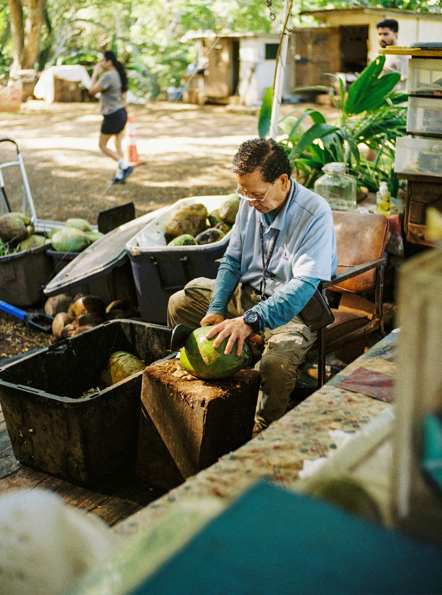 Person working with plants and soil in outdoor gardening containers.