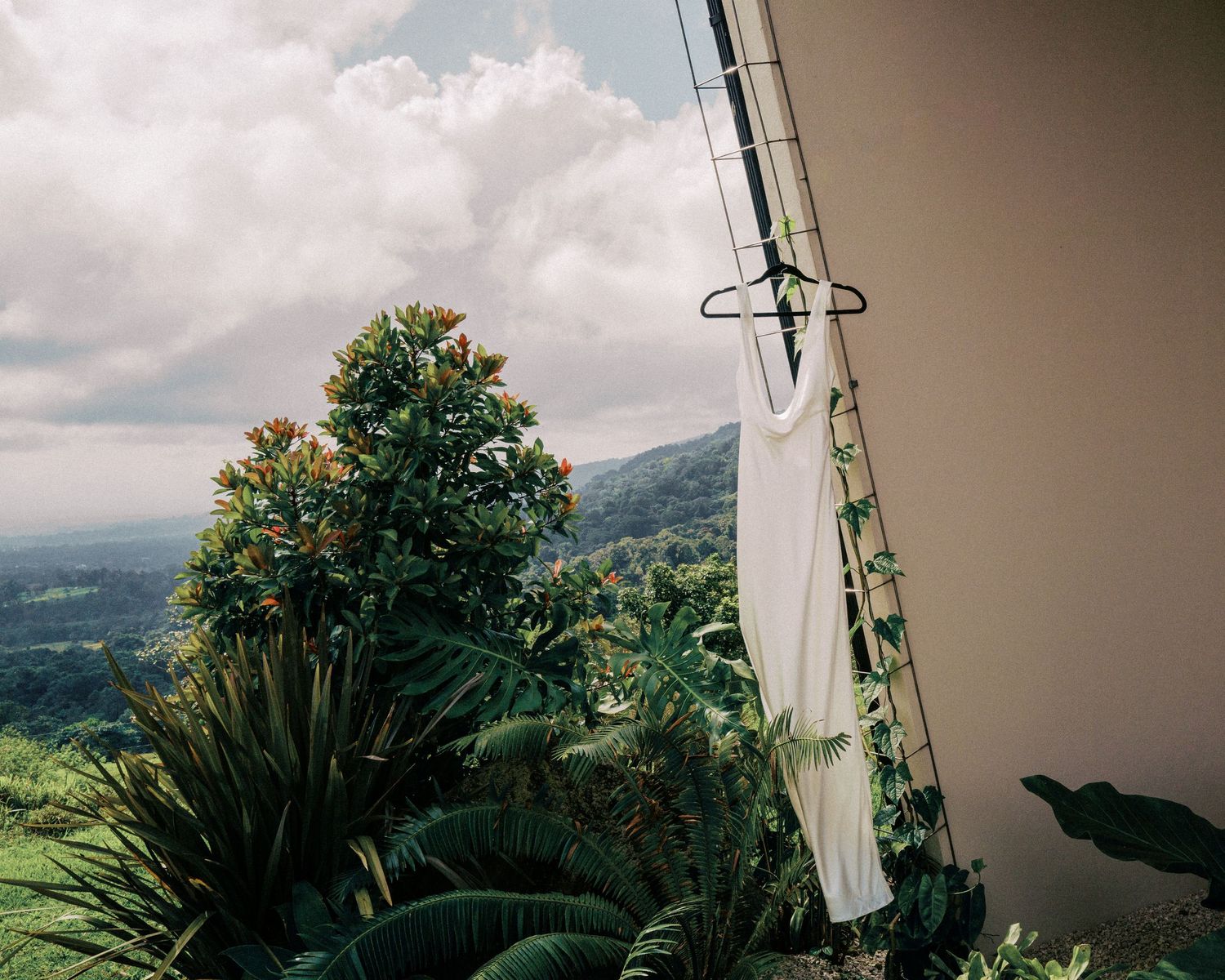 A wooden utility pole stands among lush tropical plants with mountains and cloudy sky in the background.