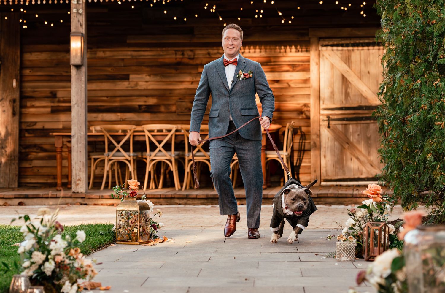 Groom in gray suit walks dog down wedding aisle at rustic Terrain at Styers barn venue with string lights and floral decor.