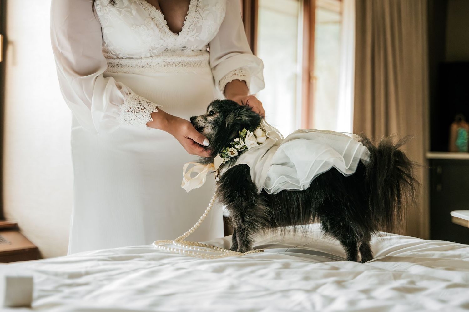 Bride in white wedding dress dressing a small black dog in a white dress on a bed.