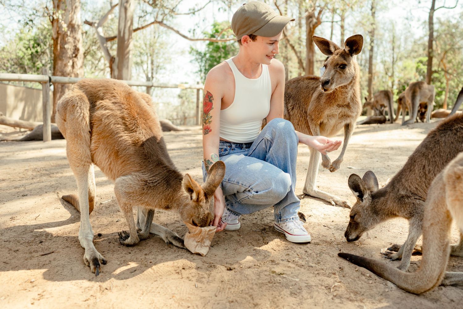 Woman with tattoos feeding kangaroos at an Australian wildlife sanctuary on a sunny day.
