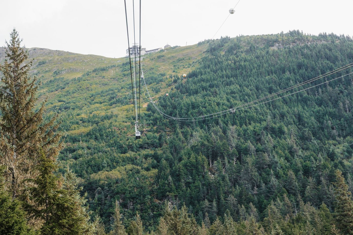 Aerial cable car gondola traveling over lush green forested mountain slopes on an overcast day.