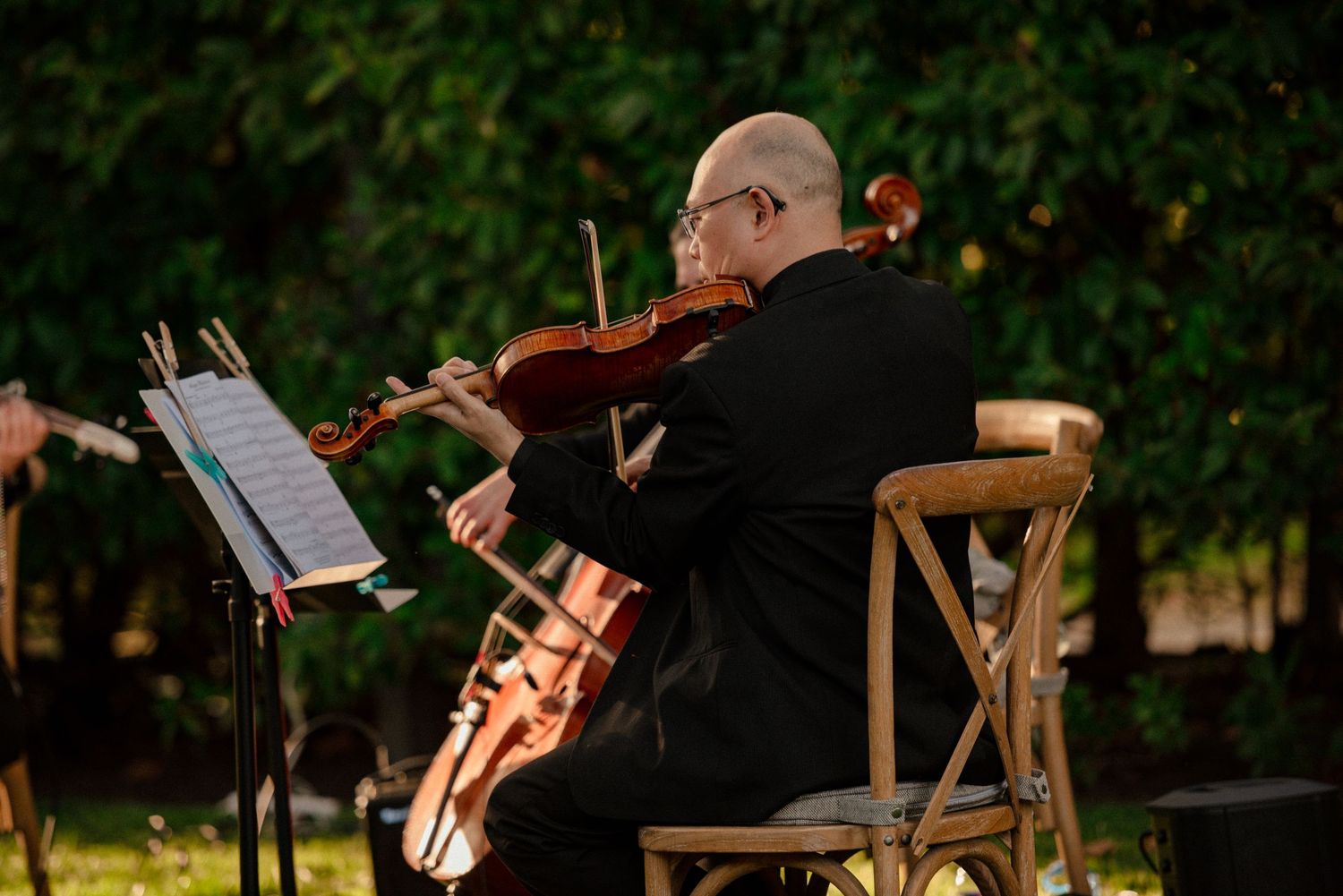 A violinist in a black suit performs outdoors, reading sheet music on a stand amid lush green trees as wedding ceremony begins.