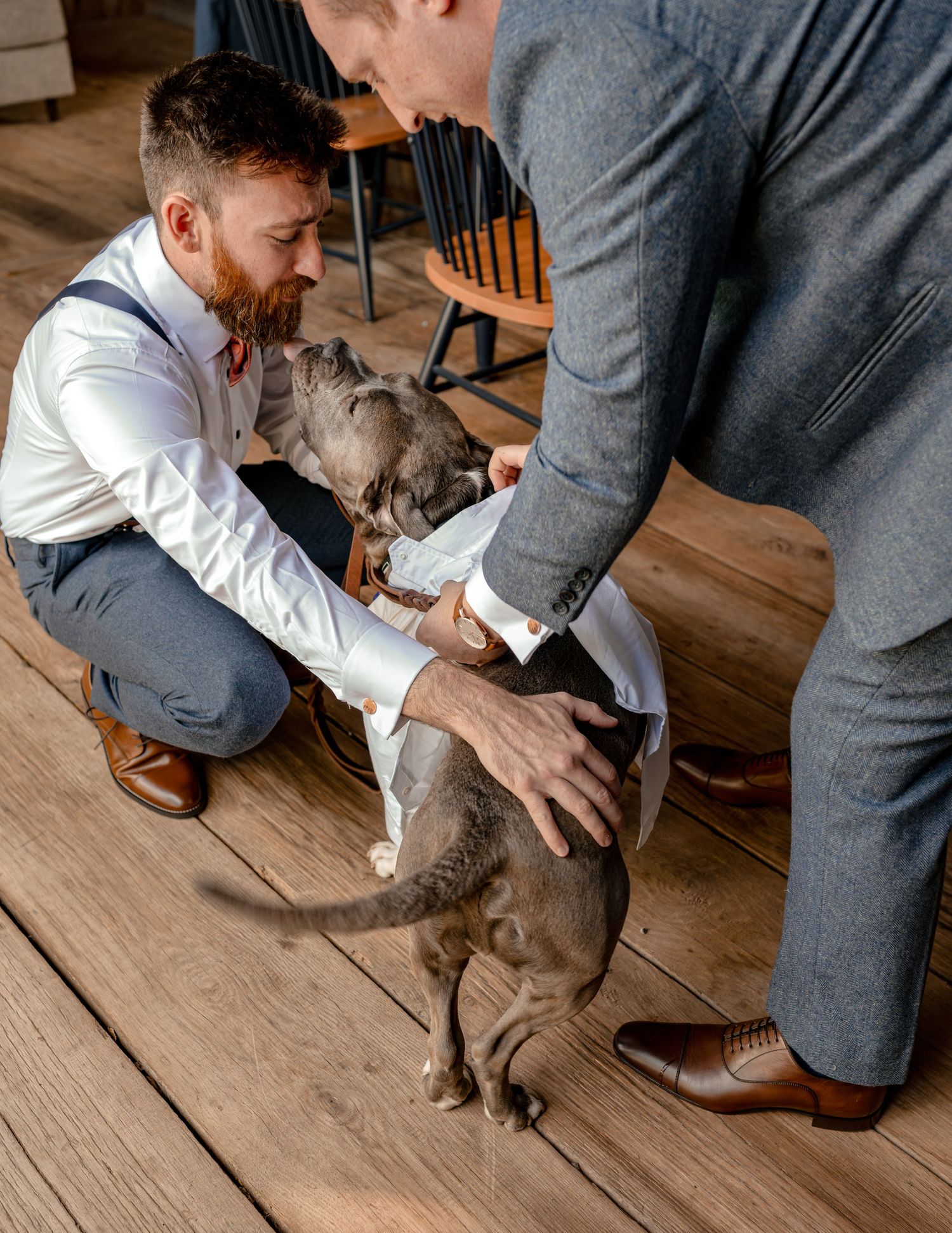 Groomsmen putting on doggy dress suit for wedding