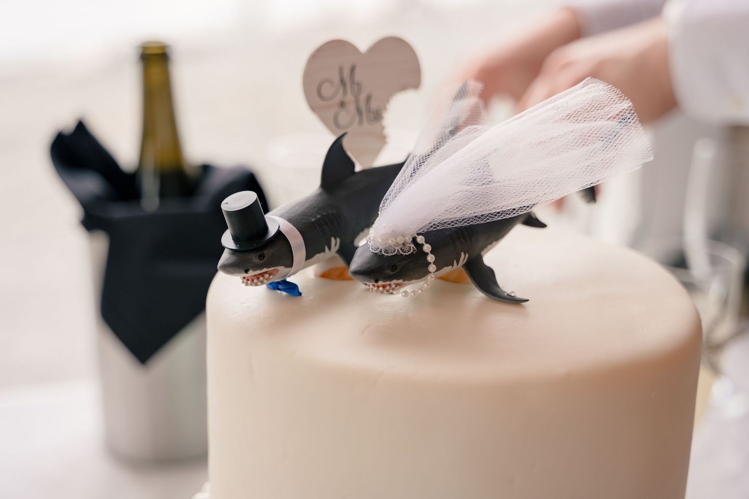 Wedding cake topper featuring two shark figurines dressed as bride and groom with veil and top hat.