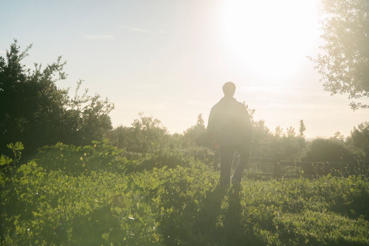 Eli Anizor Photography  |  Orange County, CA |  Families, Couples & Seniors Portrait Photographer