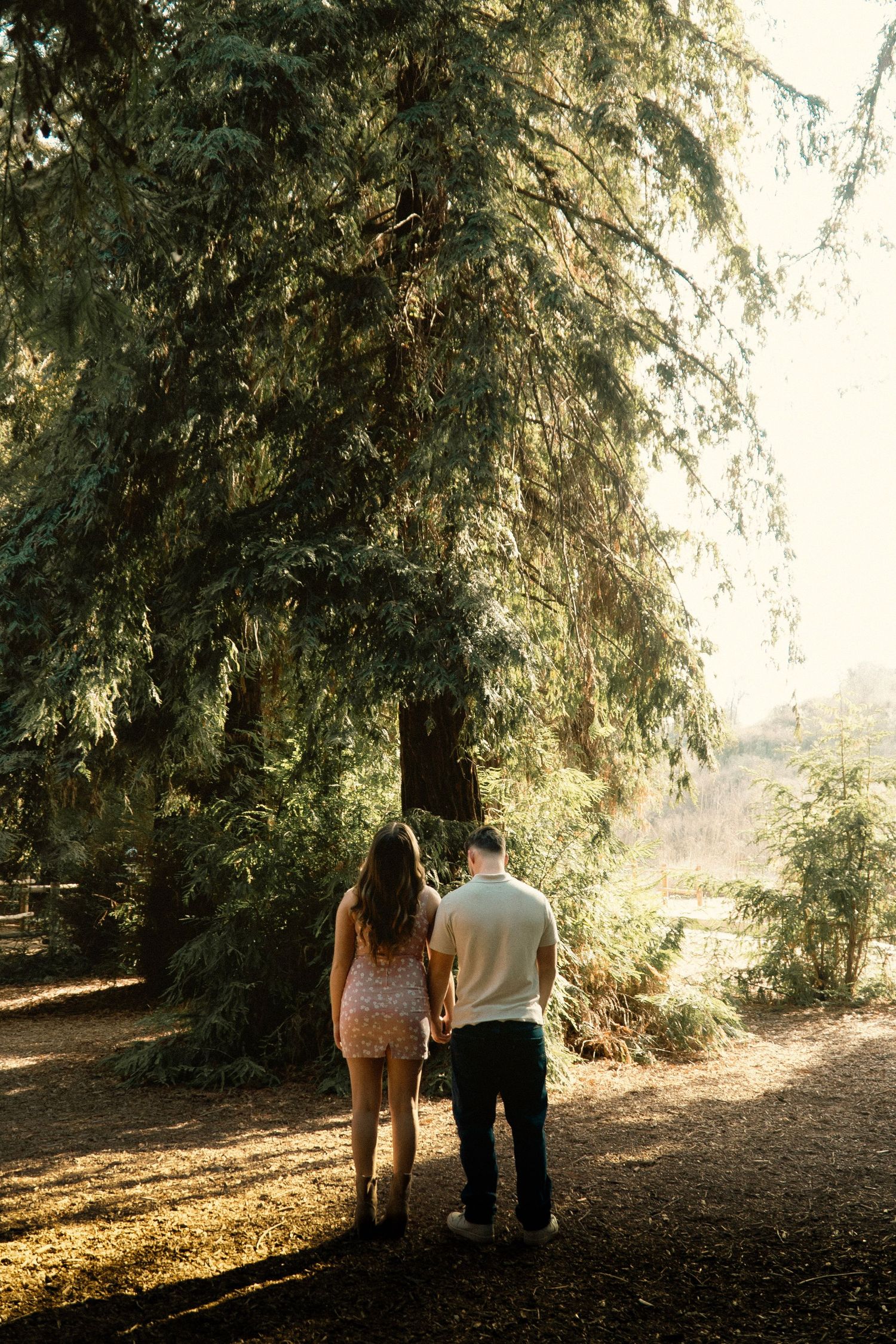 Brea, California Couple Session