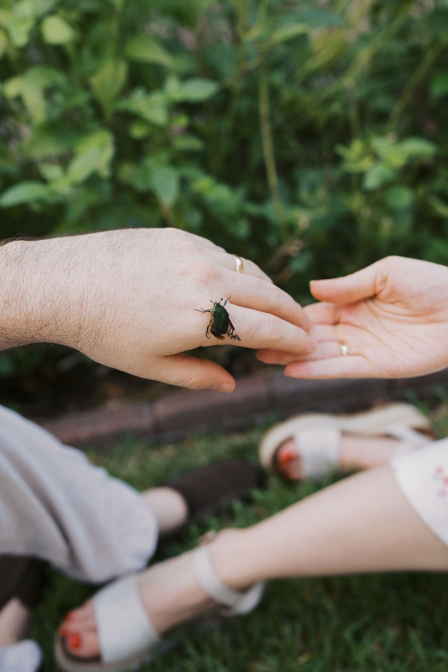 Two hands touching outdoors with a green beetle resting on one hand, surrounded by lush green grass.