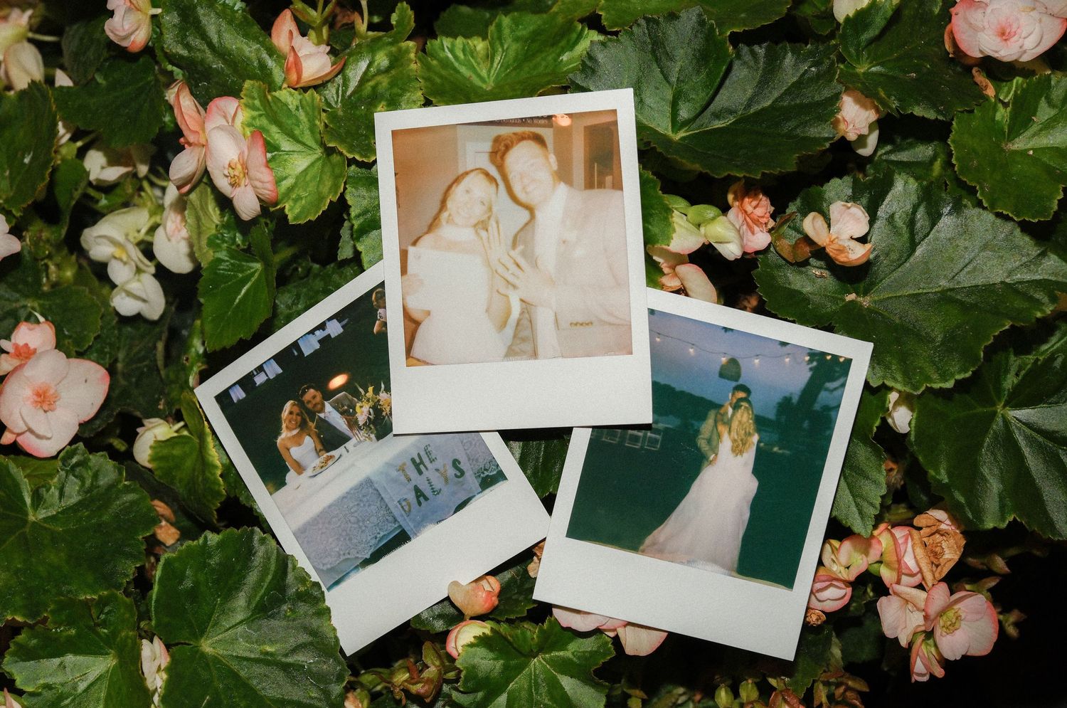 Three Polaroid wedding photos arranged on lush green leaves with pink flowers, capturing romantic celebration moments.