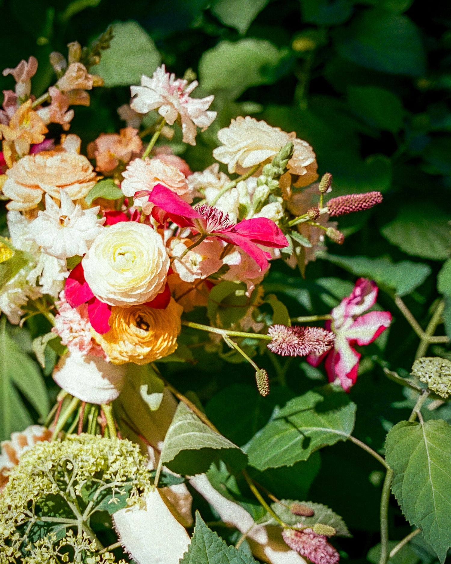 Vibrant garden bouquet featuring ranunculus, pink blooms, and lush greenery in soft natural light.