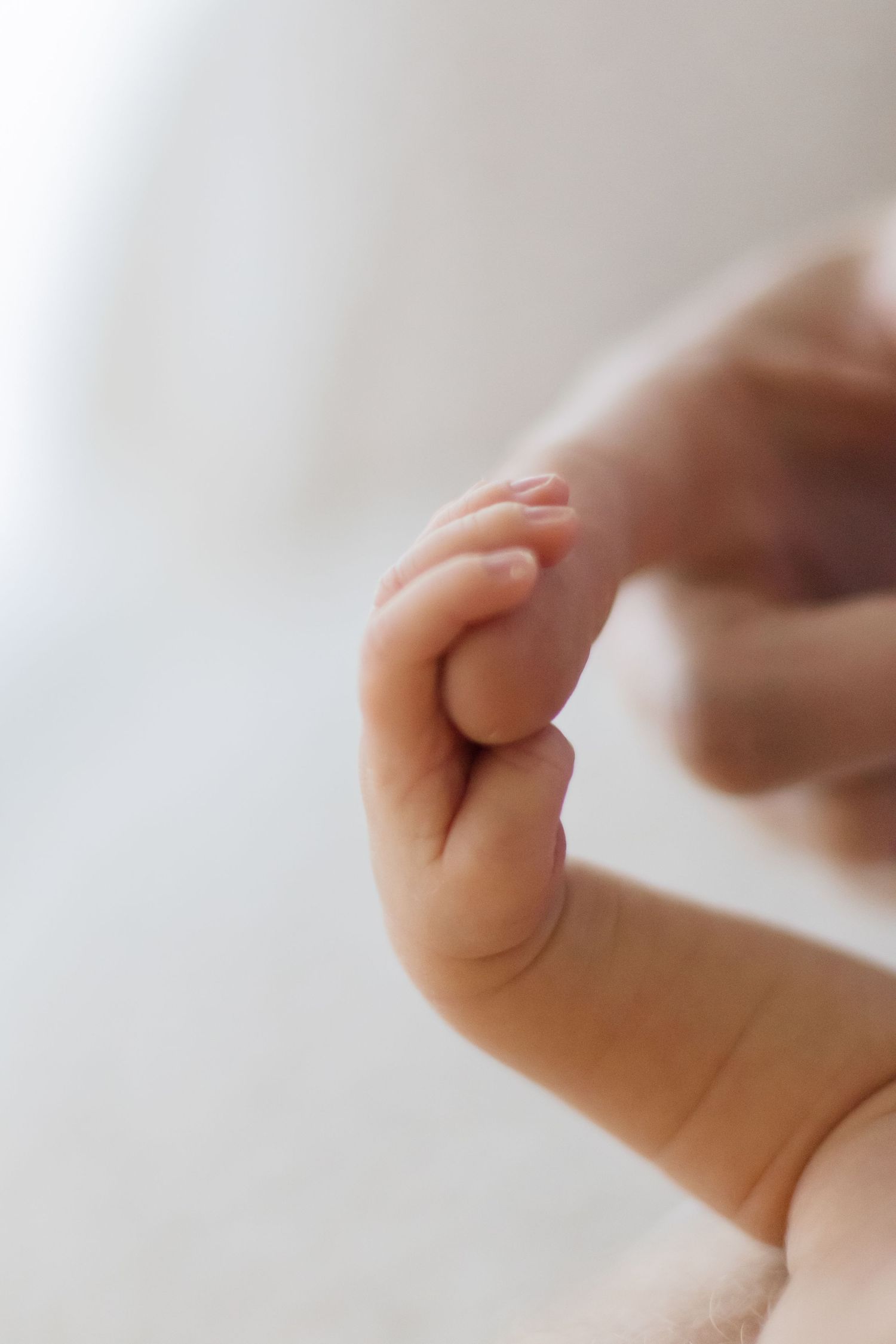 Close-up of a tiny baby foot being gently held by an adult hand against a light background.
