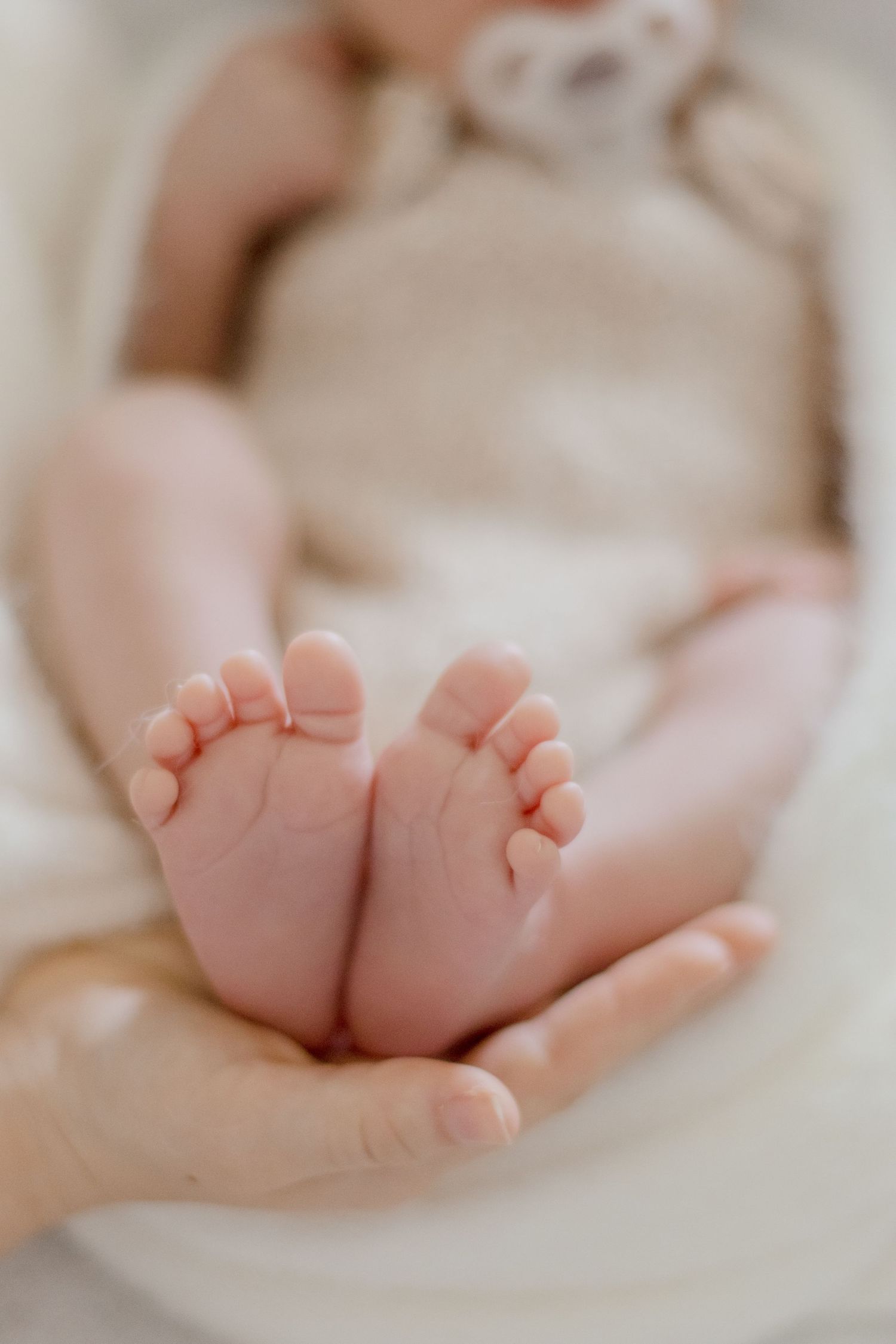Tiny newborn feet being gently cradled in adult hands against light background.