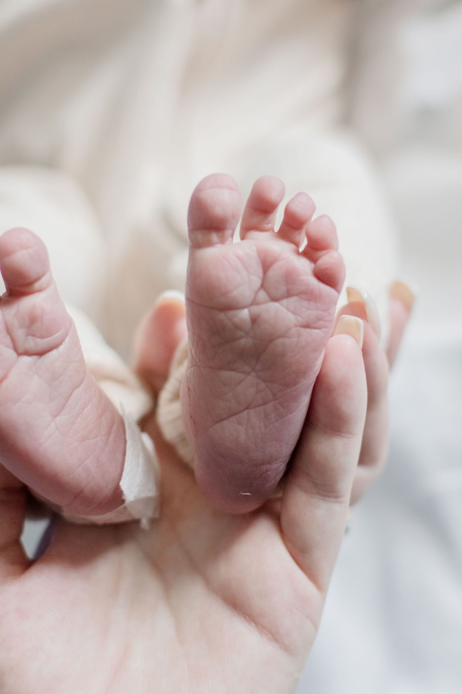 Tiny newborn feet being gently cradled by adult hands showing delicate wrinkles and details.