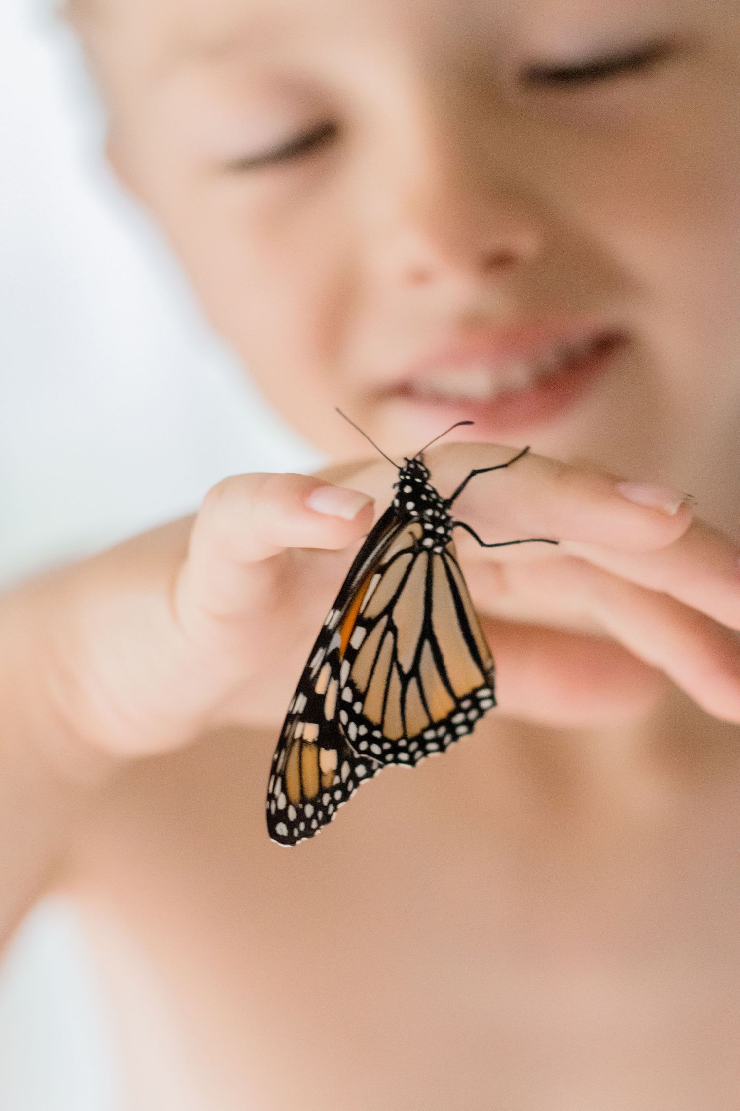 A delicate Monarch butterfly resting in gentle hands against a light background.