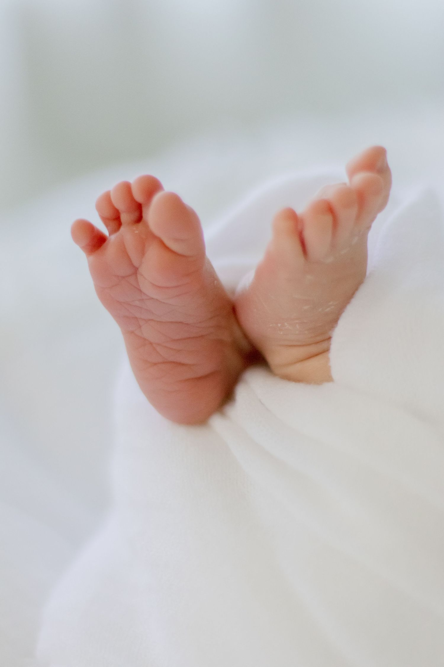 Sweet tiny feet of a newborn baby resting on white bedding.