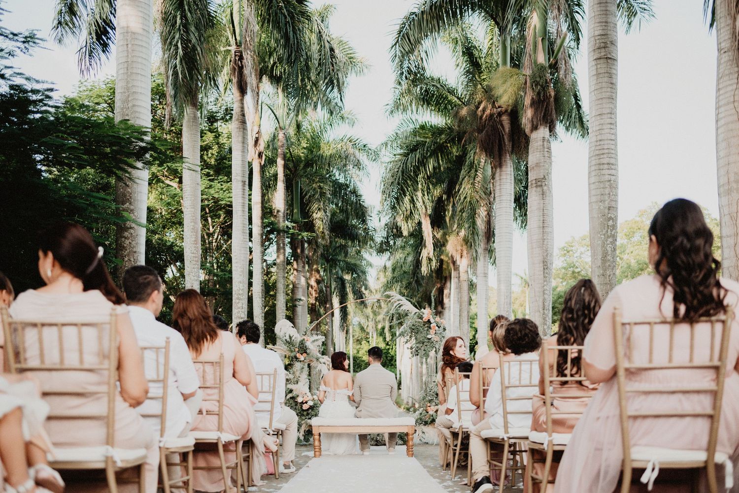 Wedding guests seated in rows along a tropical palm-lined ceremony aisle.