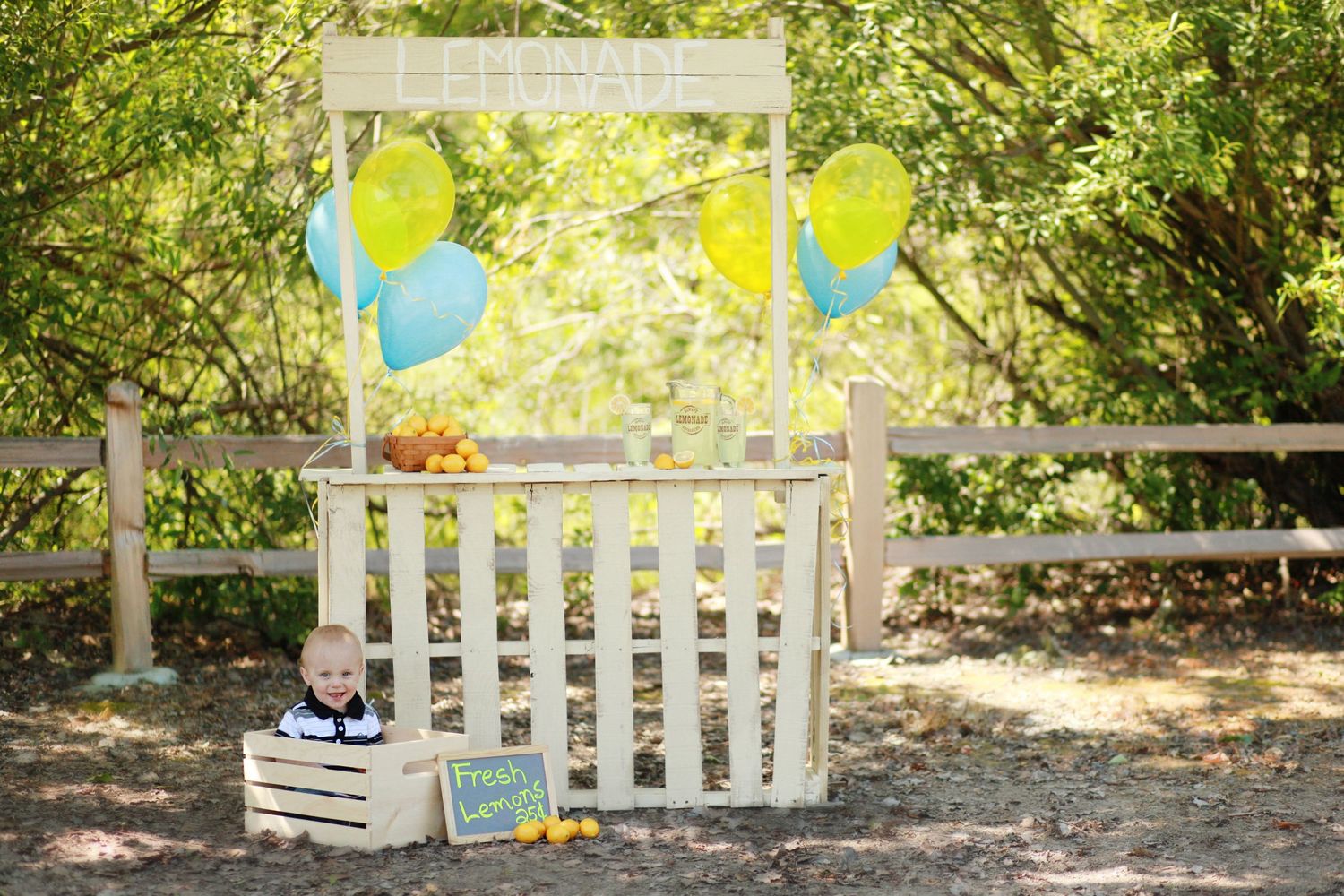 Lemonade Mini Session with a child in a crate