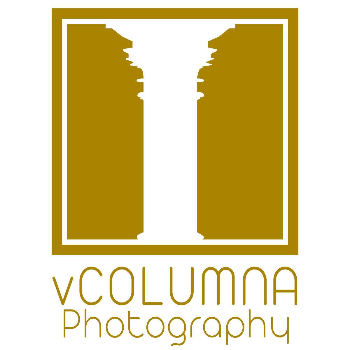 Real Estate Photography Logo vCOLUMNA PHOTOGRAPHY Lehigh Valley