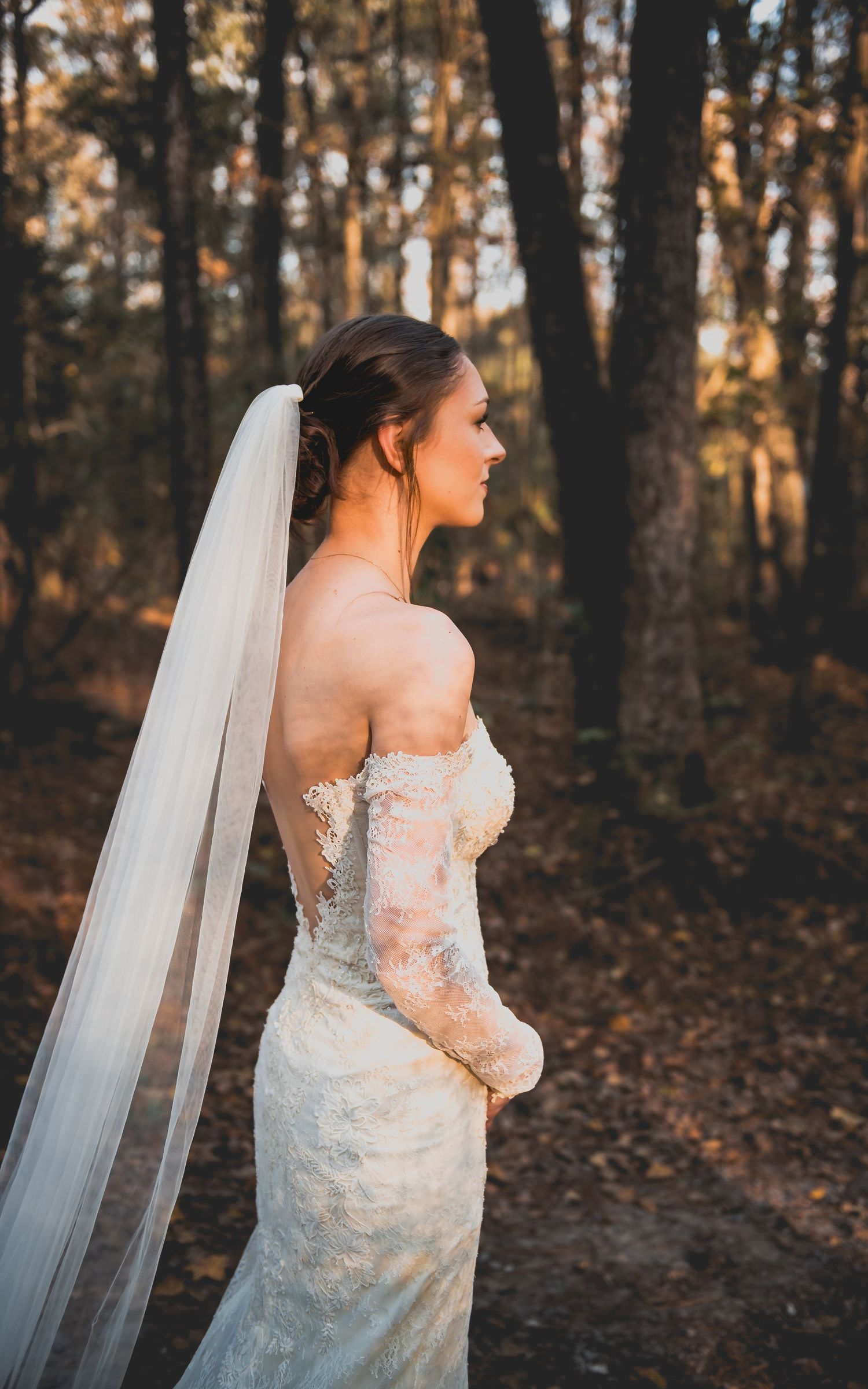 A bride in a lace wedding dress and flowing veil poses elegantly in an autumn forest setting during golden hour.