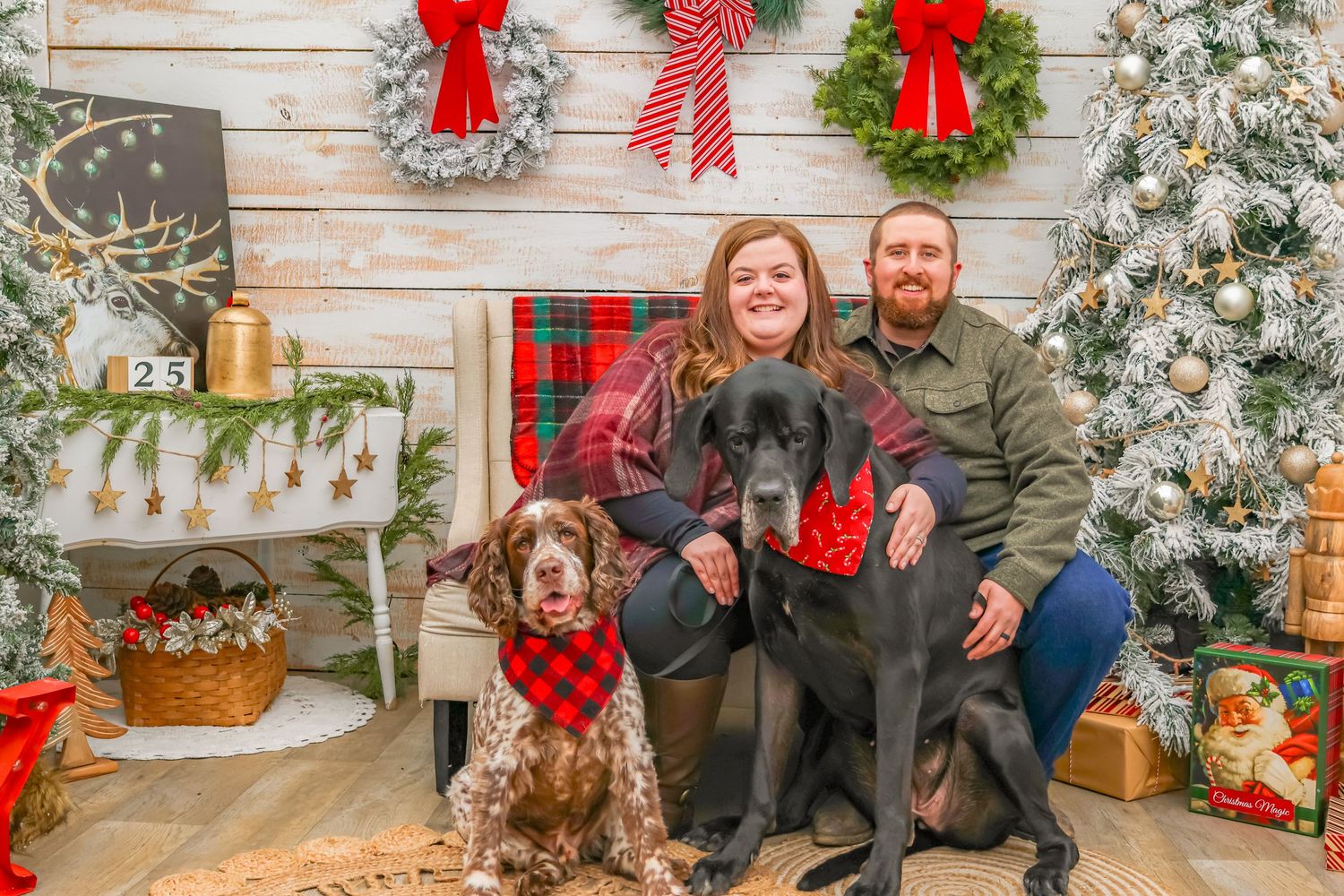 Festive holiday portrait with two dogs wearing bandanas in front of a rustic Christmas backdrop.