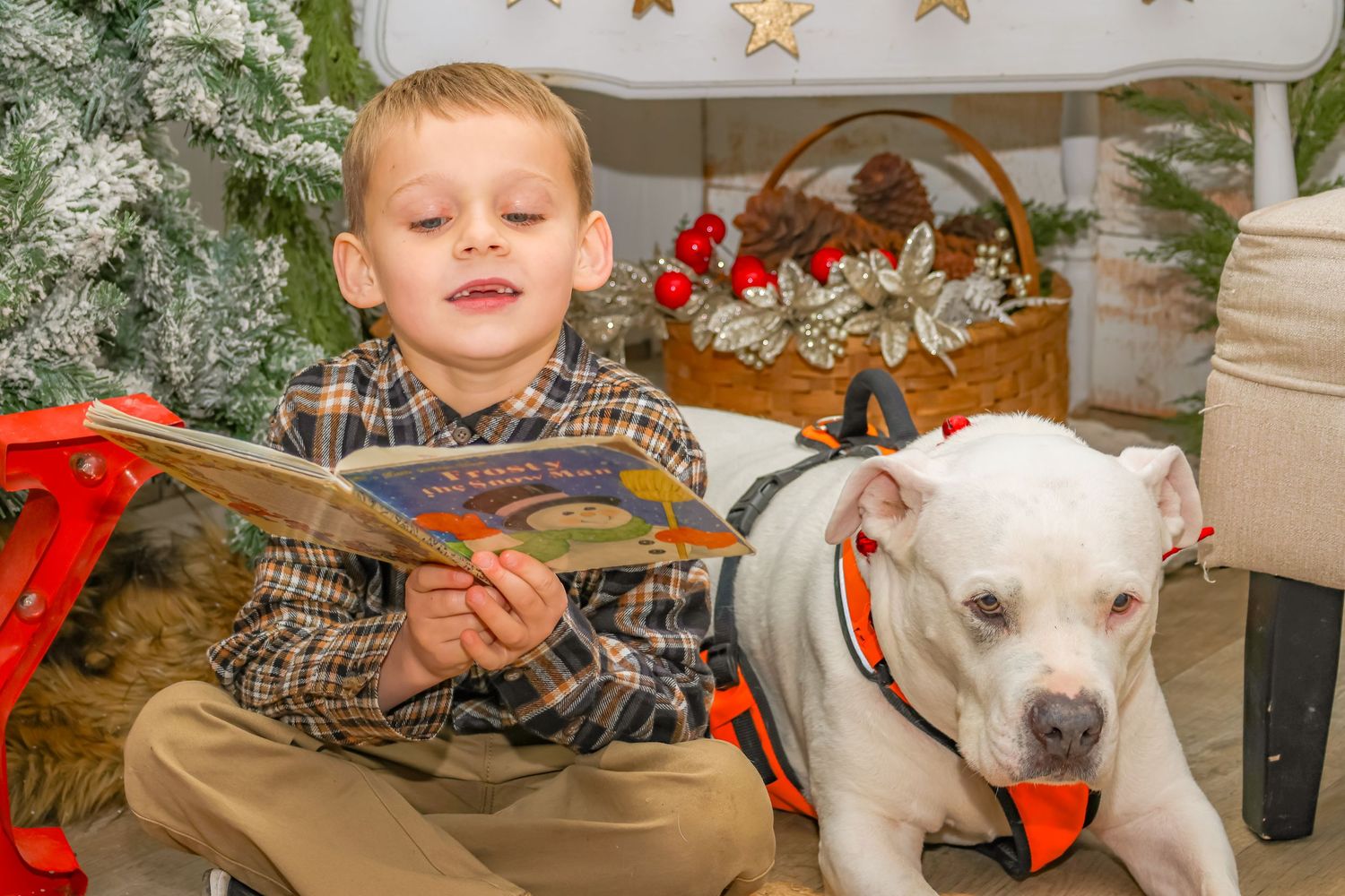 Young child reading next to a white dog among Christmas decorations and greenery.