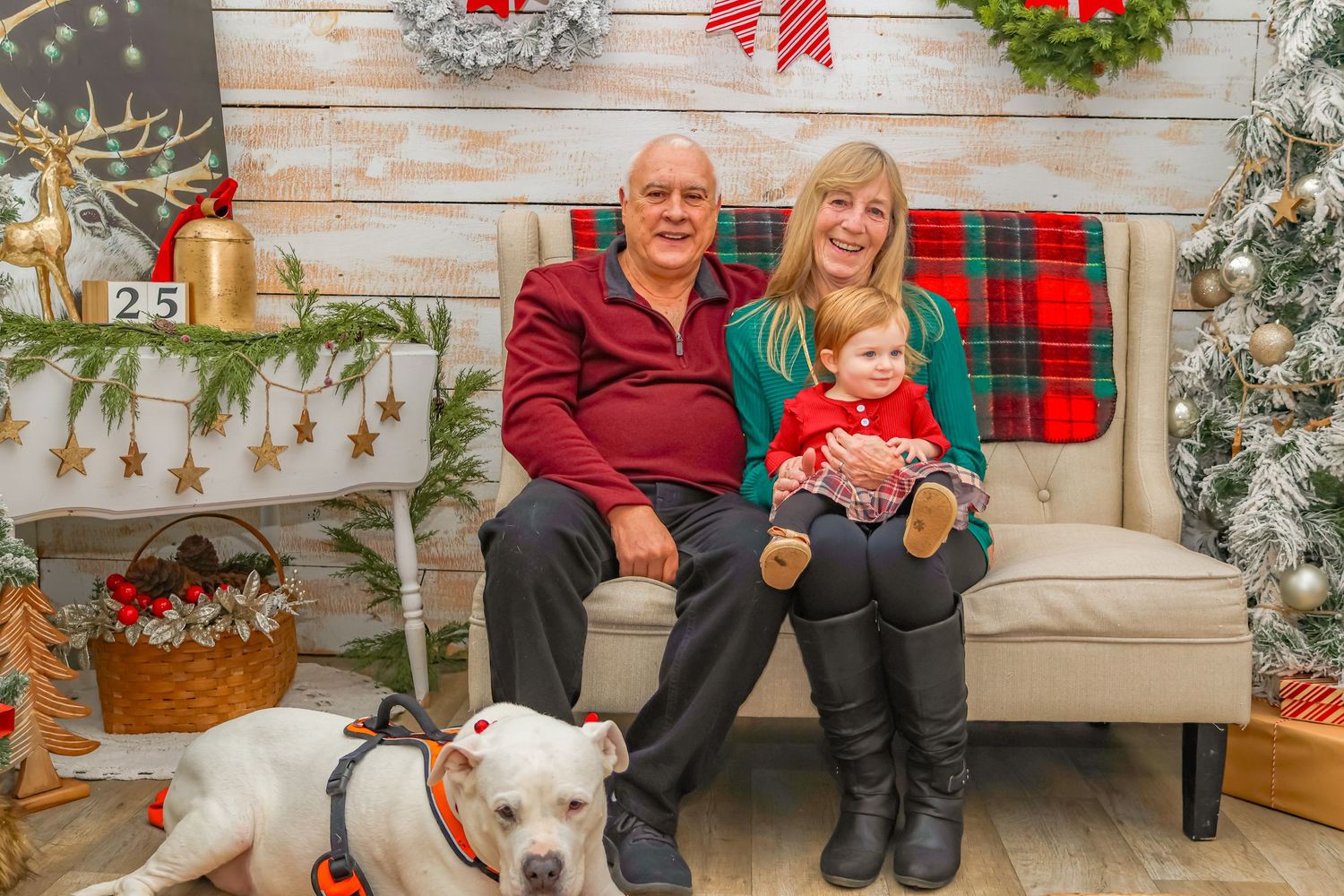 Christmas portrait on a couch with festive decorations and a white dog sitting nearby.