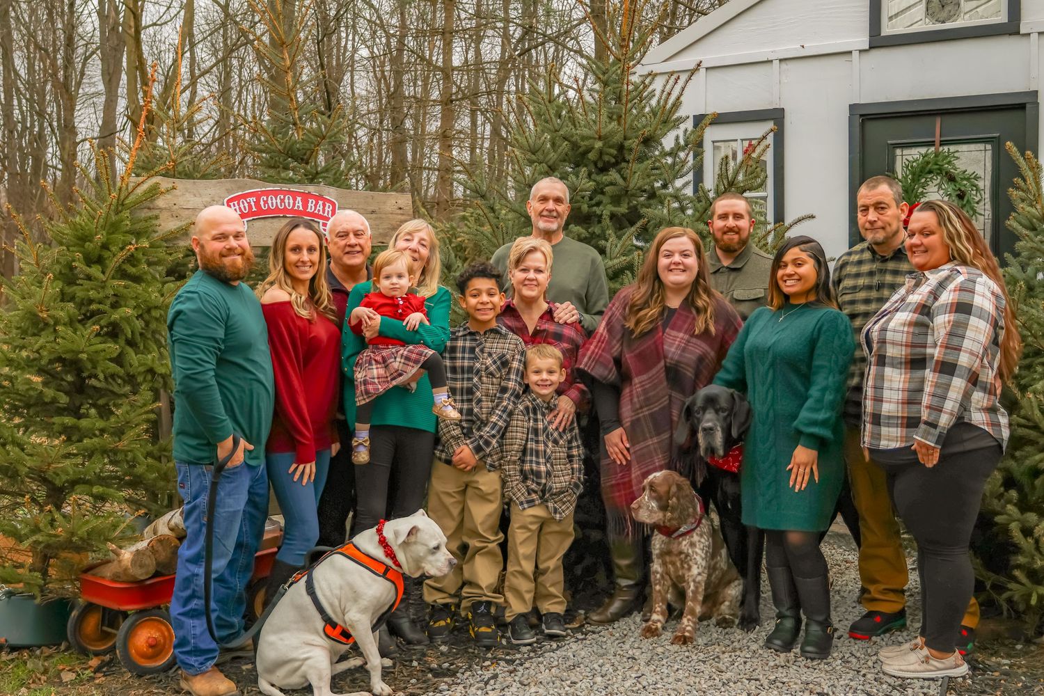 Family holiday portrait at tree farm with dogs and festive winter attire.