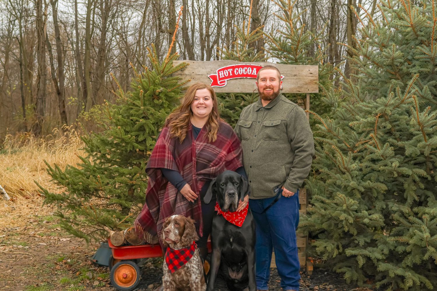 Couple poses with their dogs at Christmas tree farm with red wagon in background.