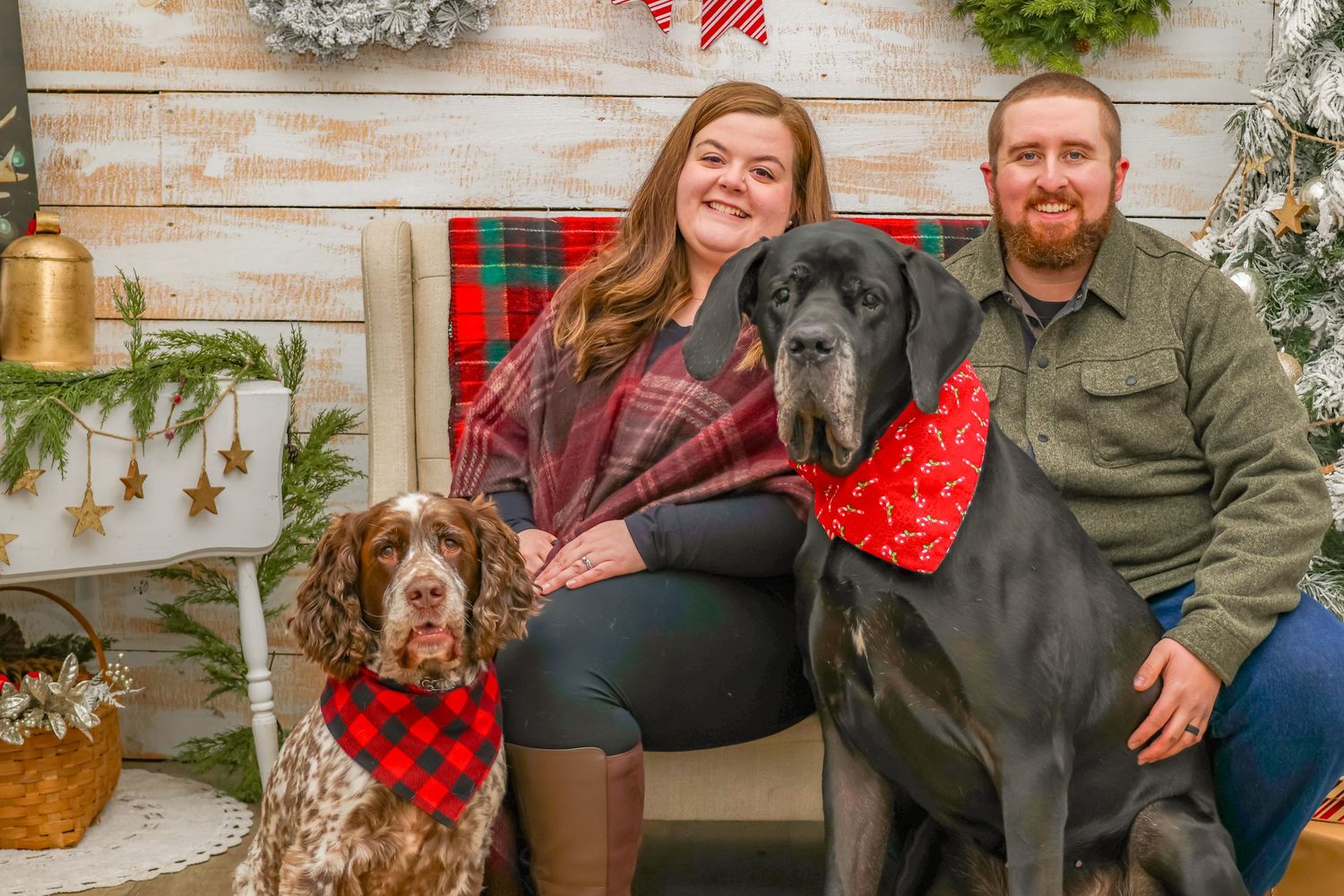 A cozy holiday portrait with two dogs wearing red bandanas against a rustic backdrop with Christmas decor.