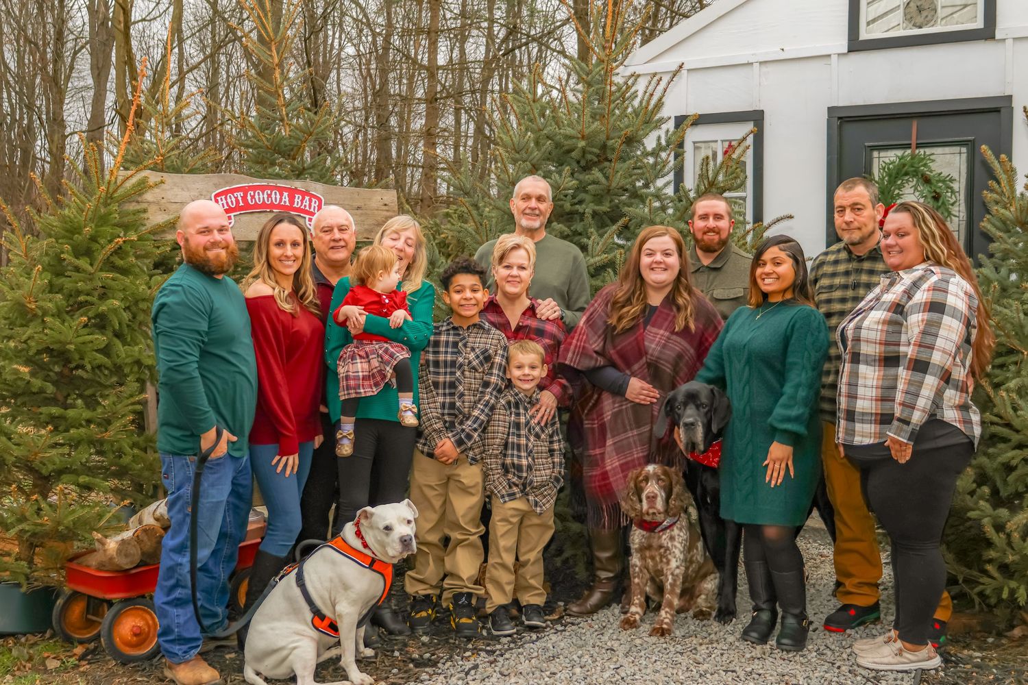 Extended family gathers outside with their dogs for a Christmas tree farm photo shoot.