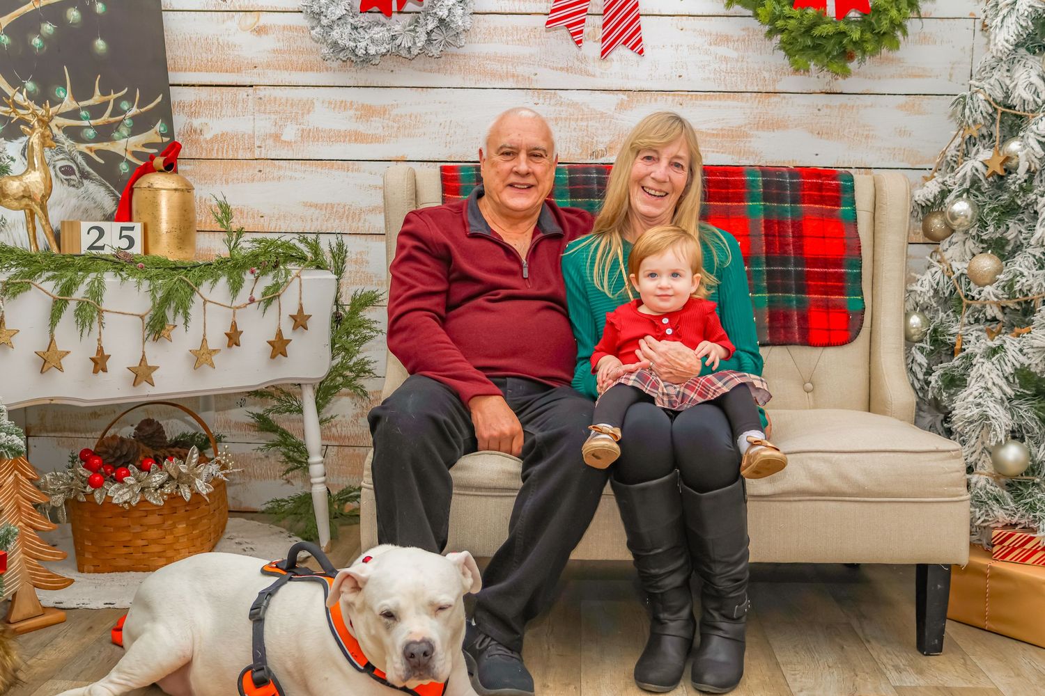 Holiday family portrait with a white dog on a beige couch surrounded by Christmas decorations.