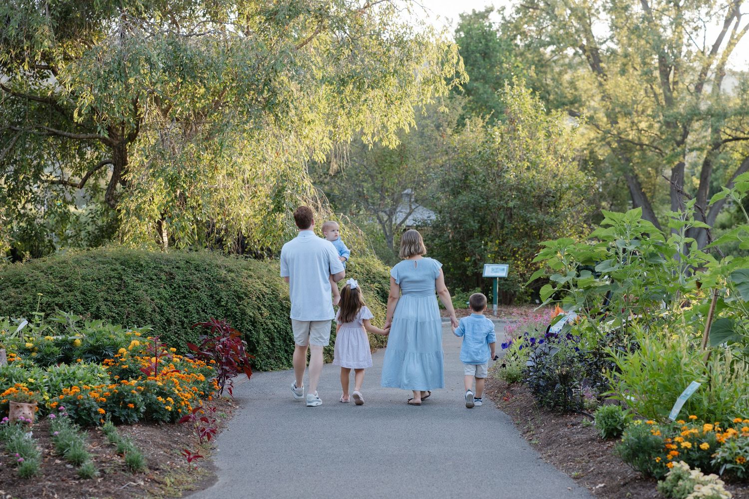 Scenic garden path lined with colorful blooms and greenery during sunset lighting.