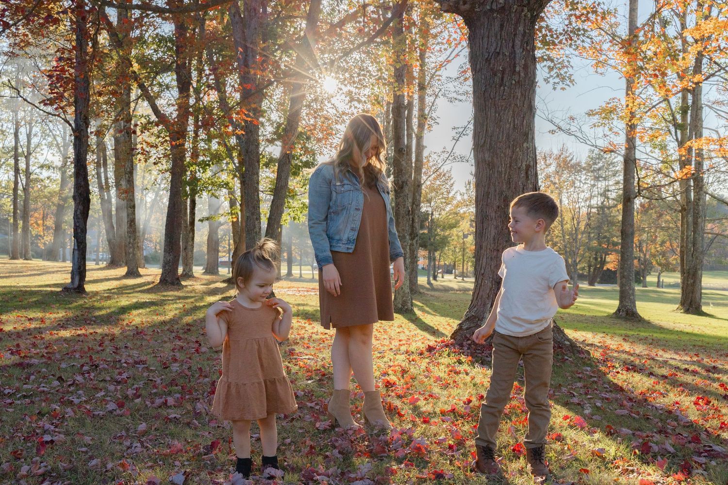 Three people stand together in a sunlit autumn forest with golden leaves scattered on the ground.