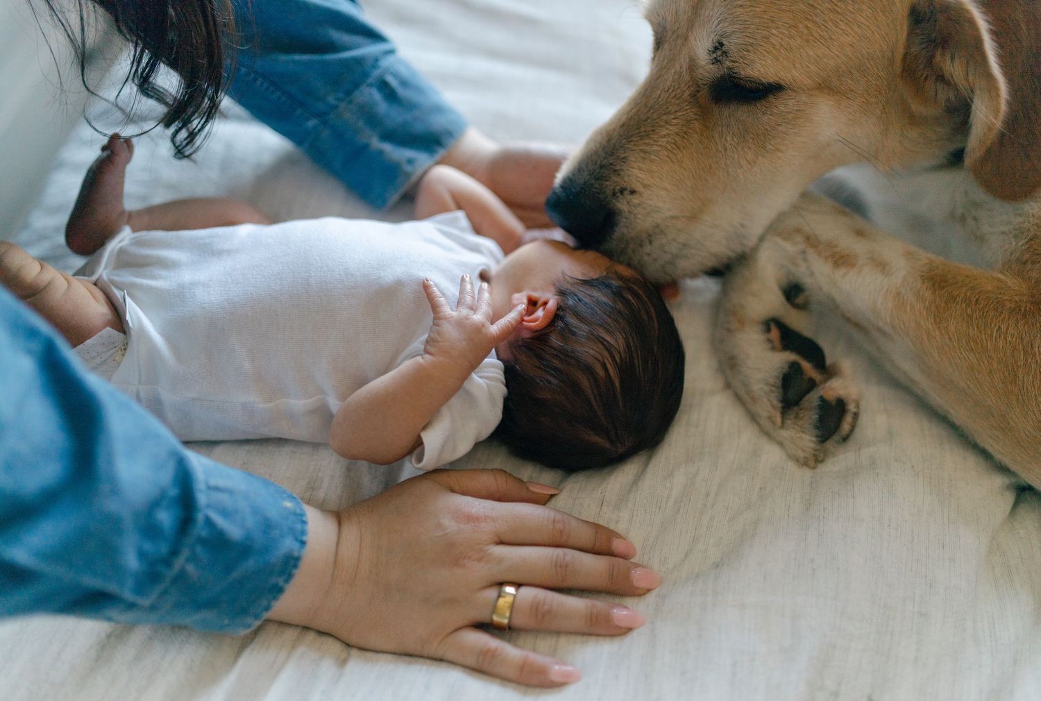 A gentle dog watches closely as caregiver tends to a newborn baby lying on a light-colored floor.