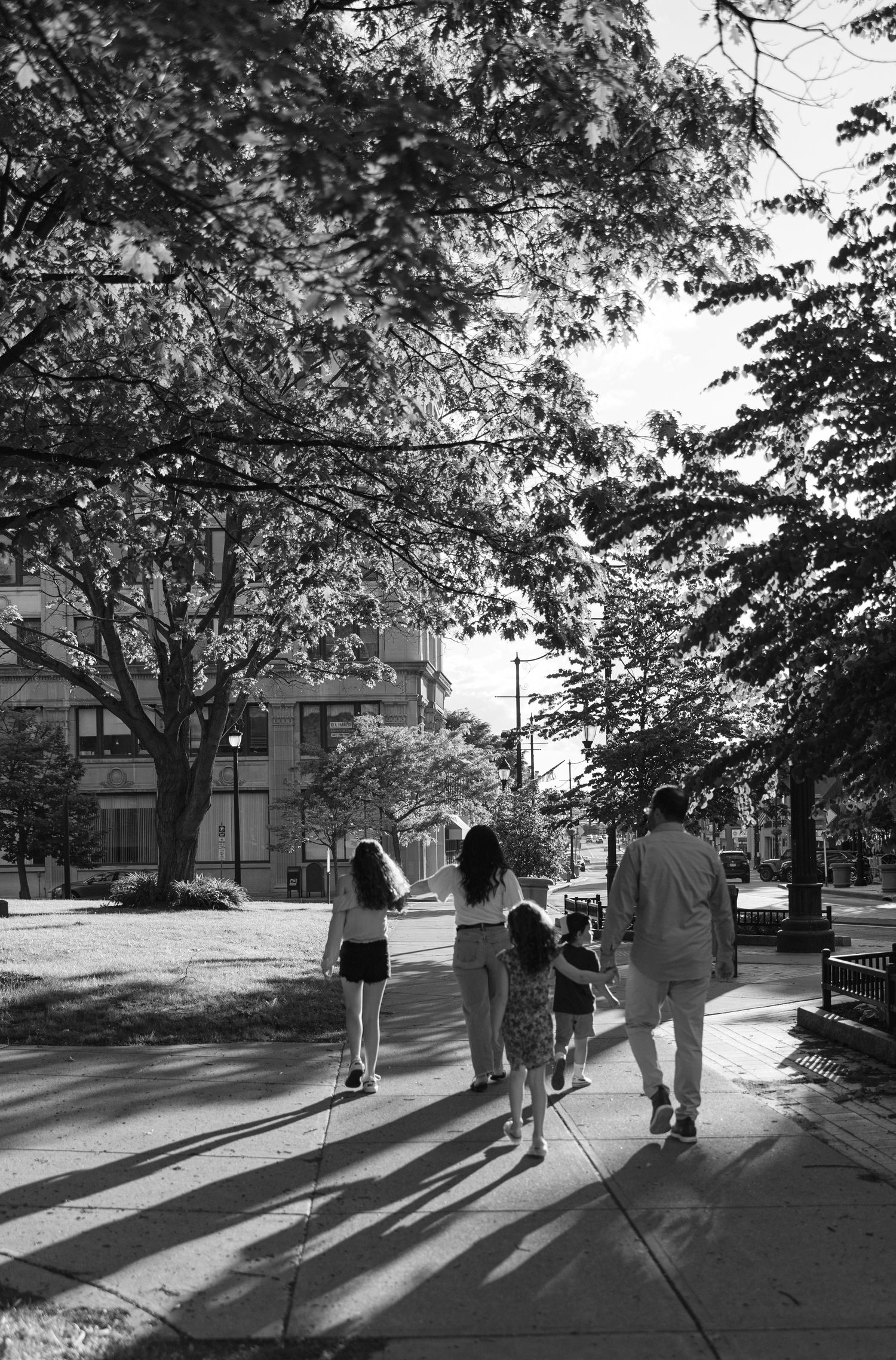 A picture from a family photo session of a family walking downtown binghamton on a tree-lined sidewalk cast long shadows in black and white