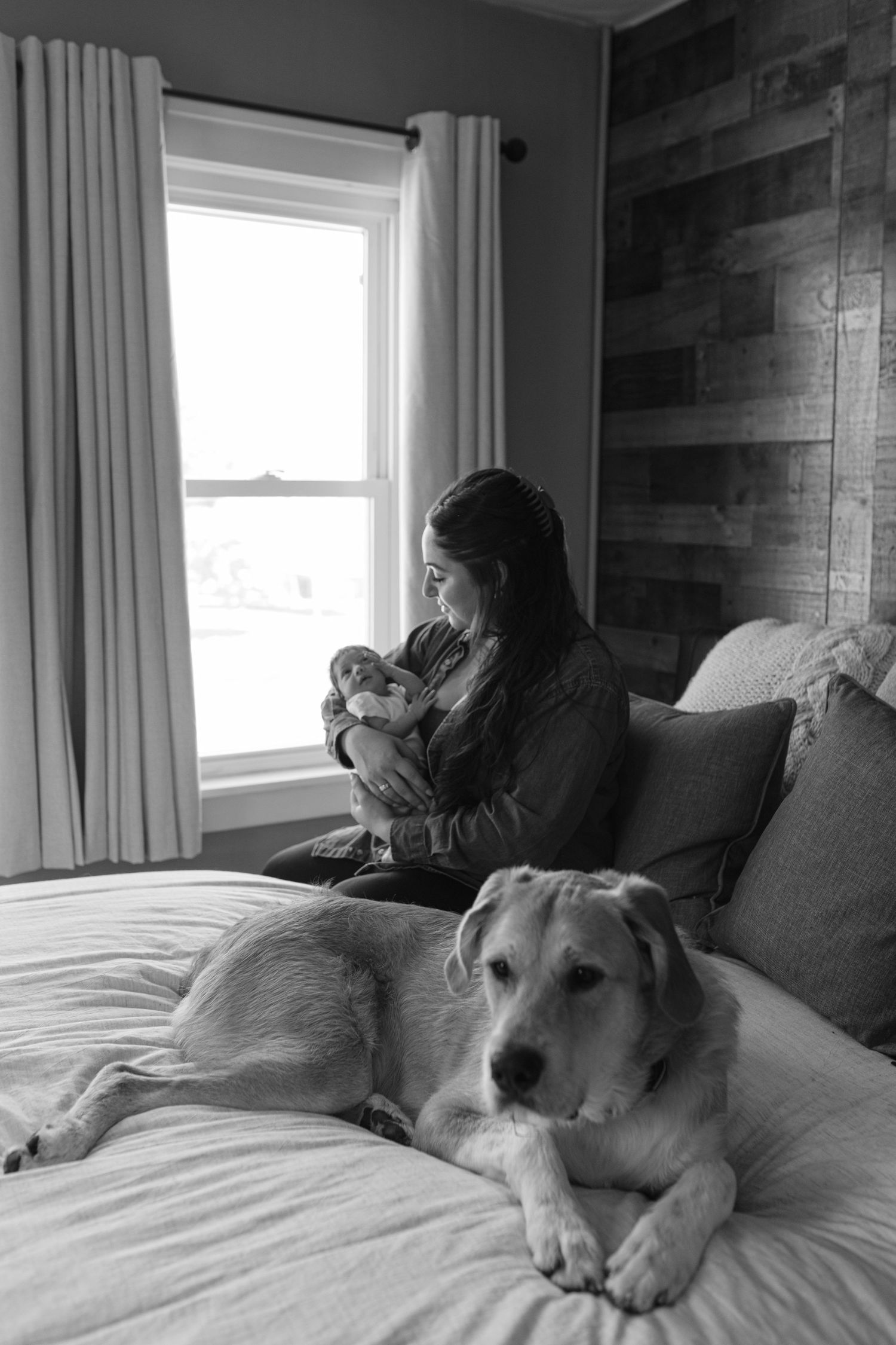 A tender black and white portrait of a person with their baby, while a large dog rests on the bed near them.