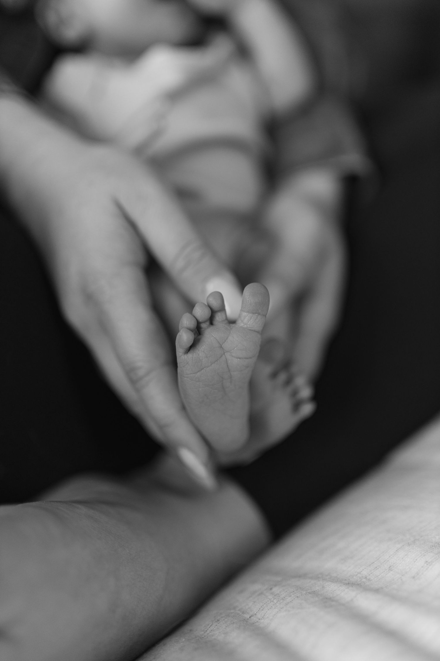Black and white close-up image of tiny newborn baby hands reaching out against a soft white background.