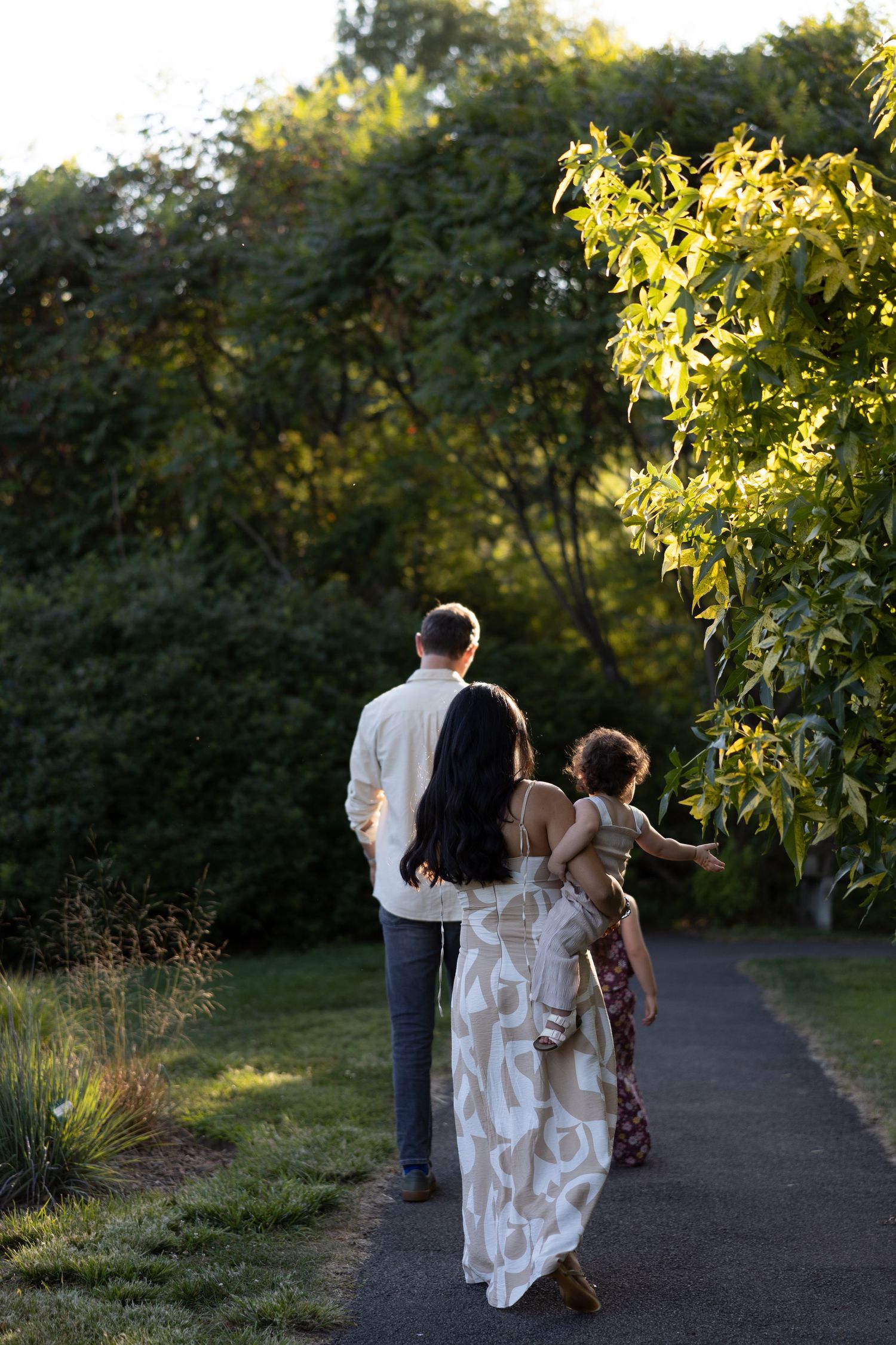 A group walks along a tree-lined path at sunset, with sunlight filtering through leaves creating a golden glow.