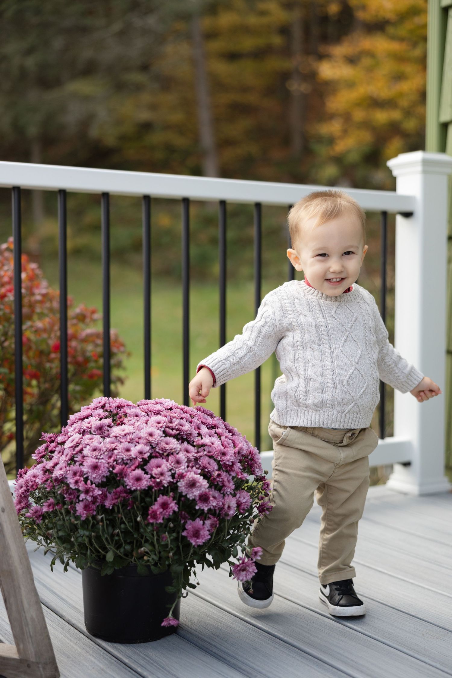 A small child in a white sweater and khaki pants plays near purple mums on a white porch in autumn.