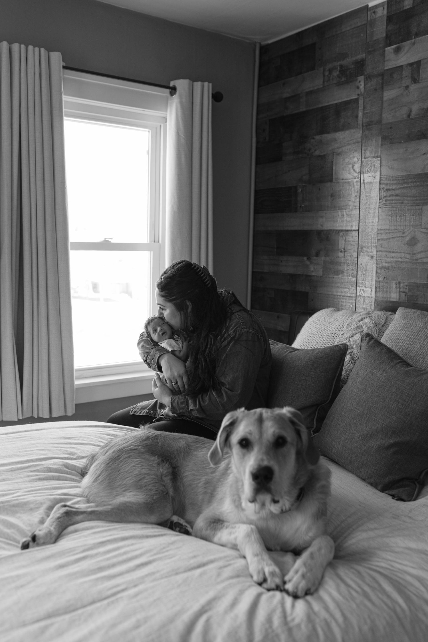 A dog rests comfortably on a cozy bed with wooden plank walls and soft curtains in the background.