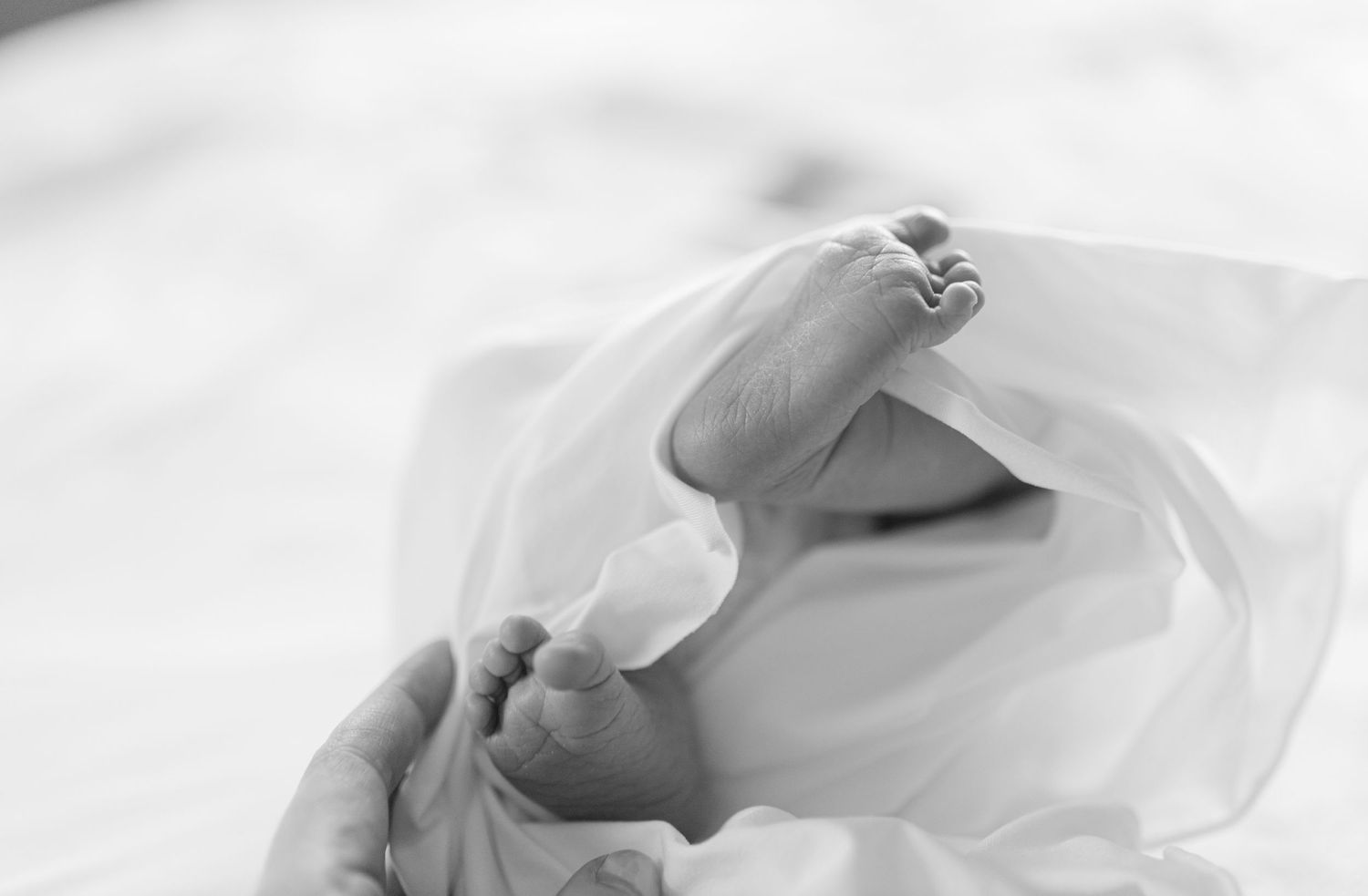 A gentle closeup of a baby gently feeding from a bottle in soft black and white tones.