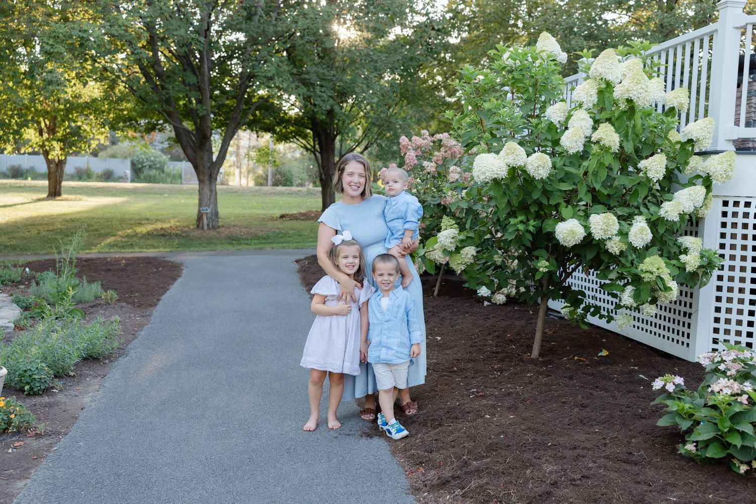 A series of outdoor garden photographs showing white hydrangea bushes and landscaping along a walkway.