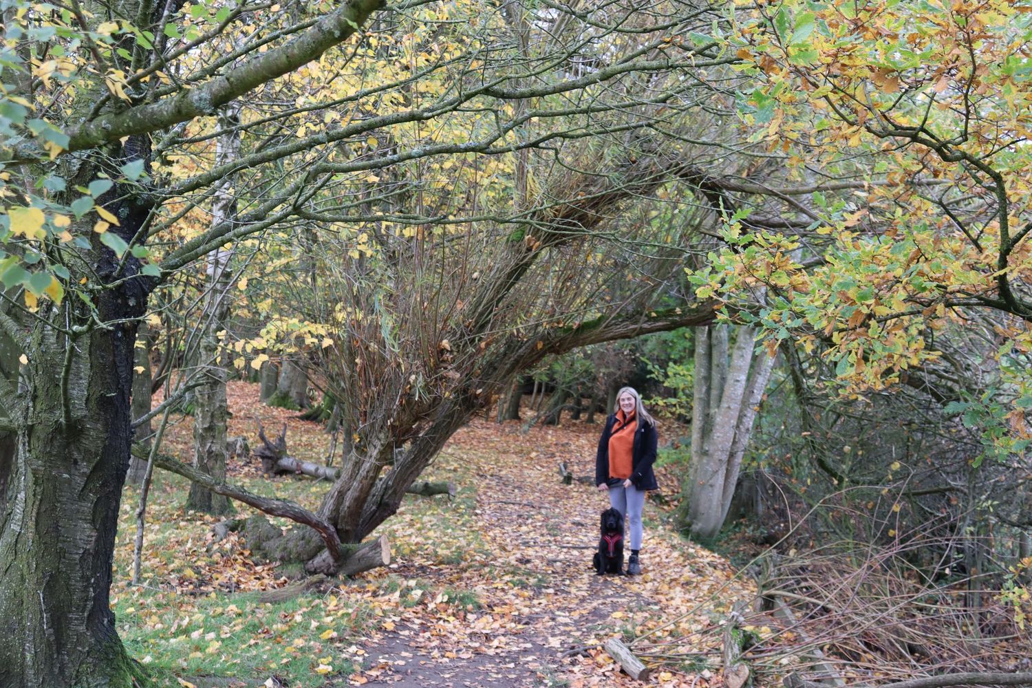 Photographer and her dog standing in the woods on a stunning autumnal day