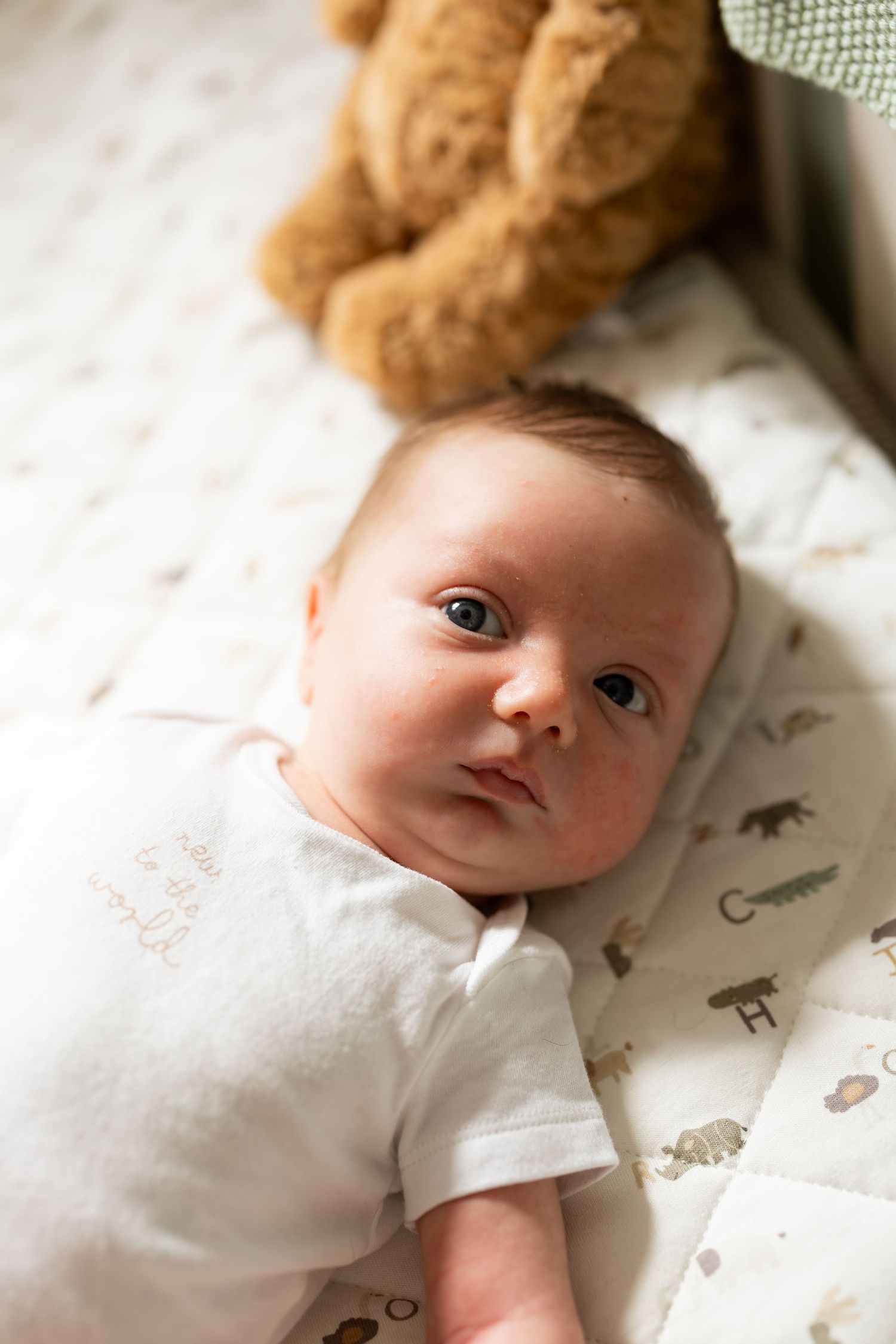 A newborn shoot at the family home. Chesterfield, midlands.