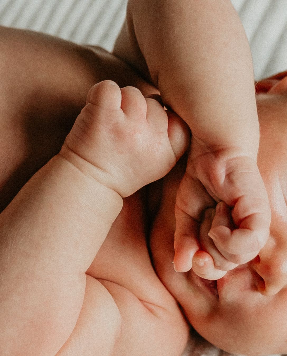 a close up detail photo of a sweet newborn basking in the natural light