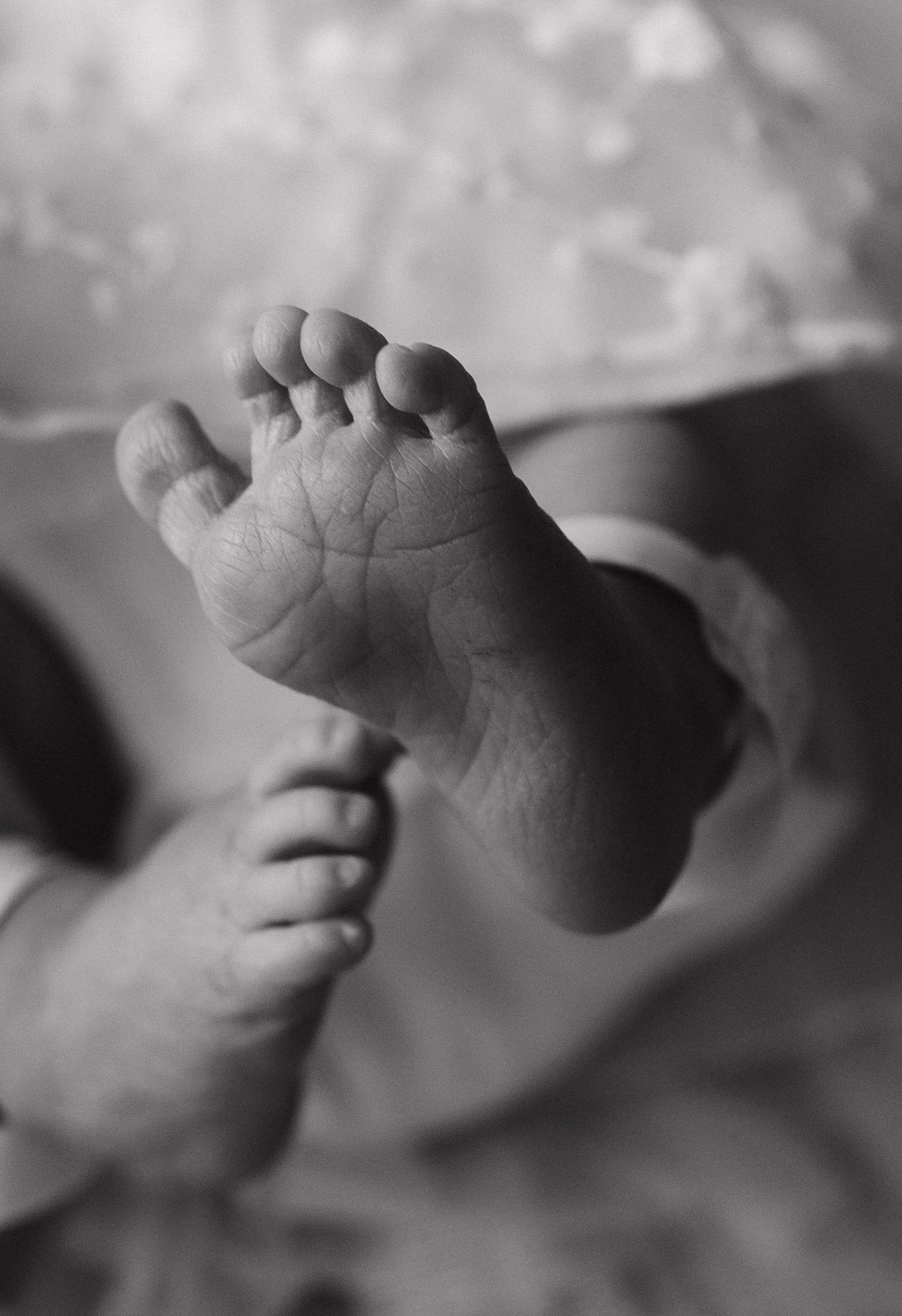 Close-up black and white photograph of tiny newborn baby feet.