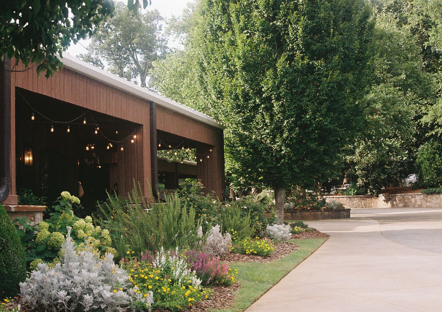 Garden walkway with string lights and landscaped flower beds surrounded by trees.
